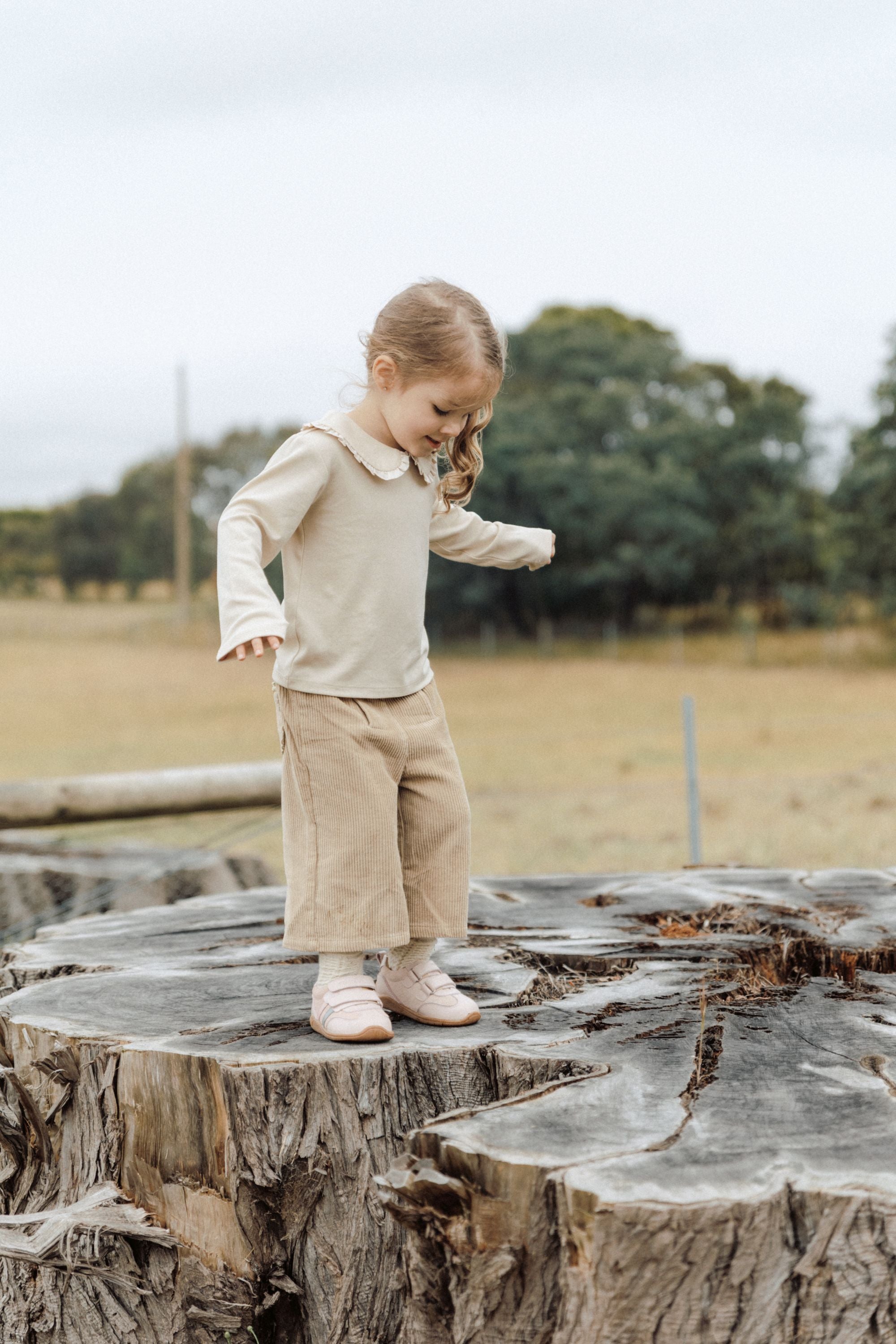 Lace Collar T-shirt - Milk Tea