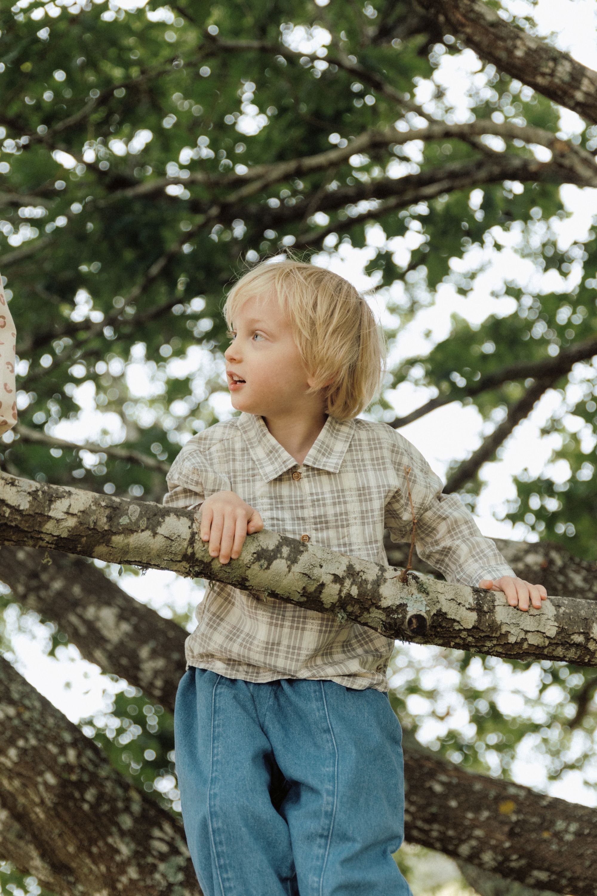 Literary Shirt - Gray