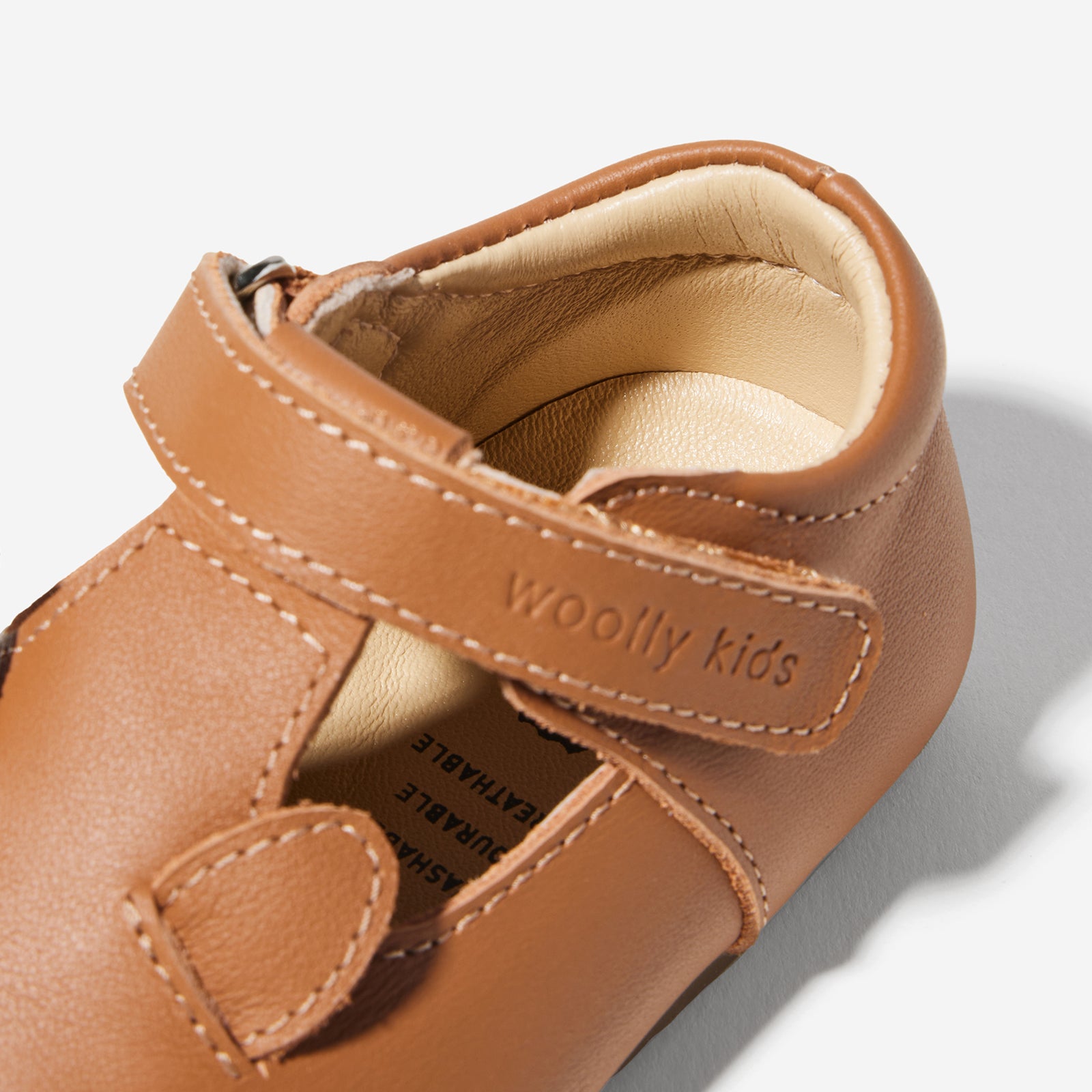 Animal Catalog - Puppies Brown