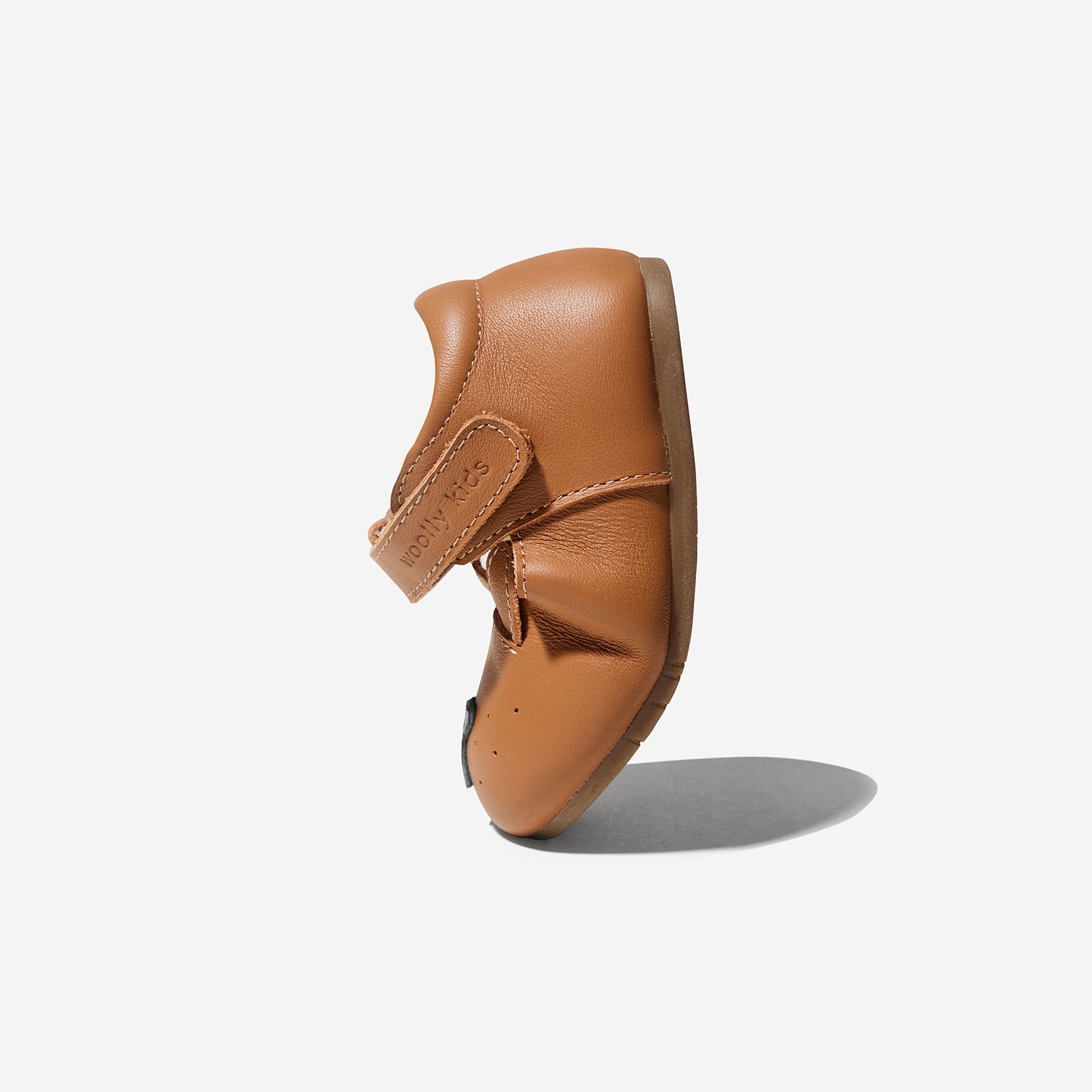 Animal Catalog - Puppies Brown