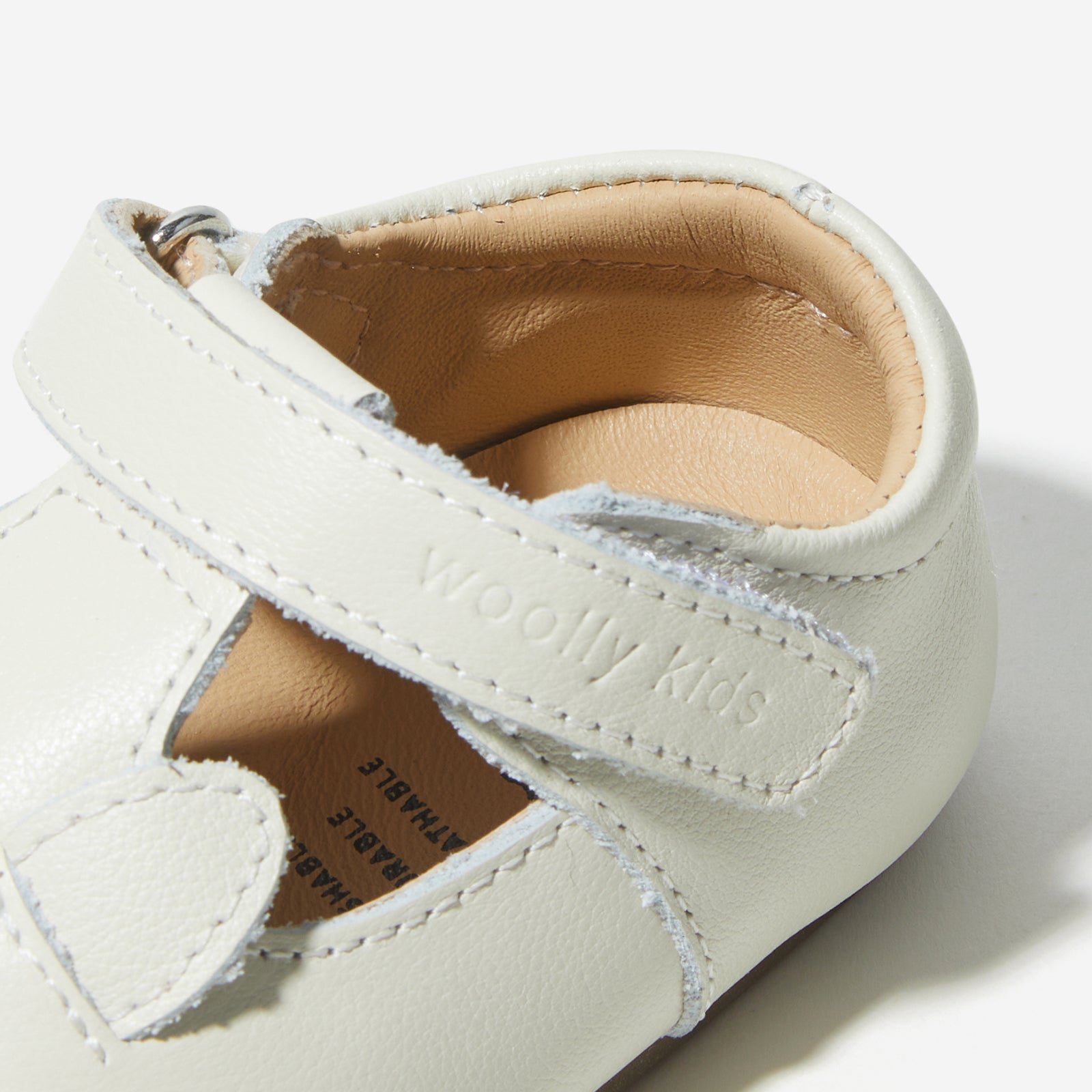 Animal Catalog - Puppies White