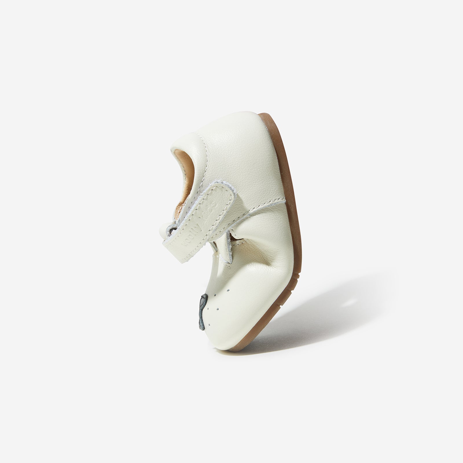 Animal Catalog - Puppies White