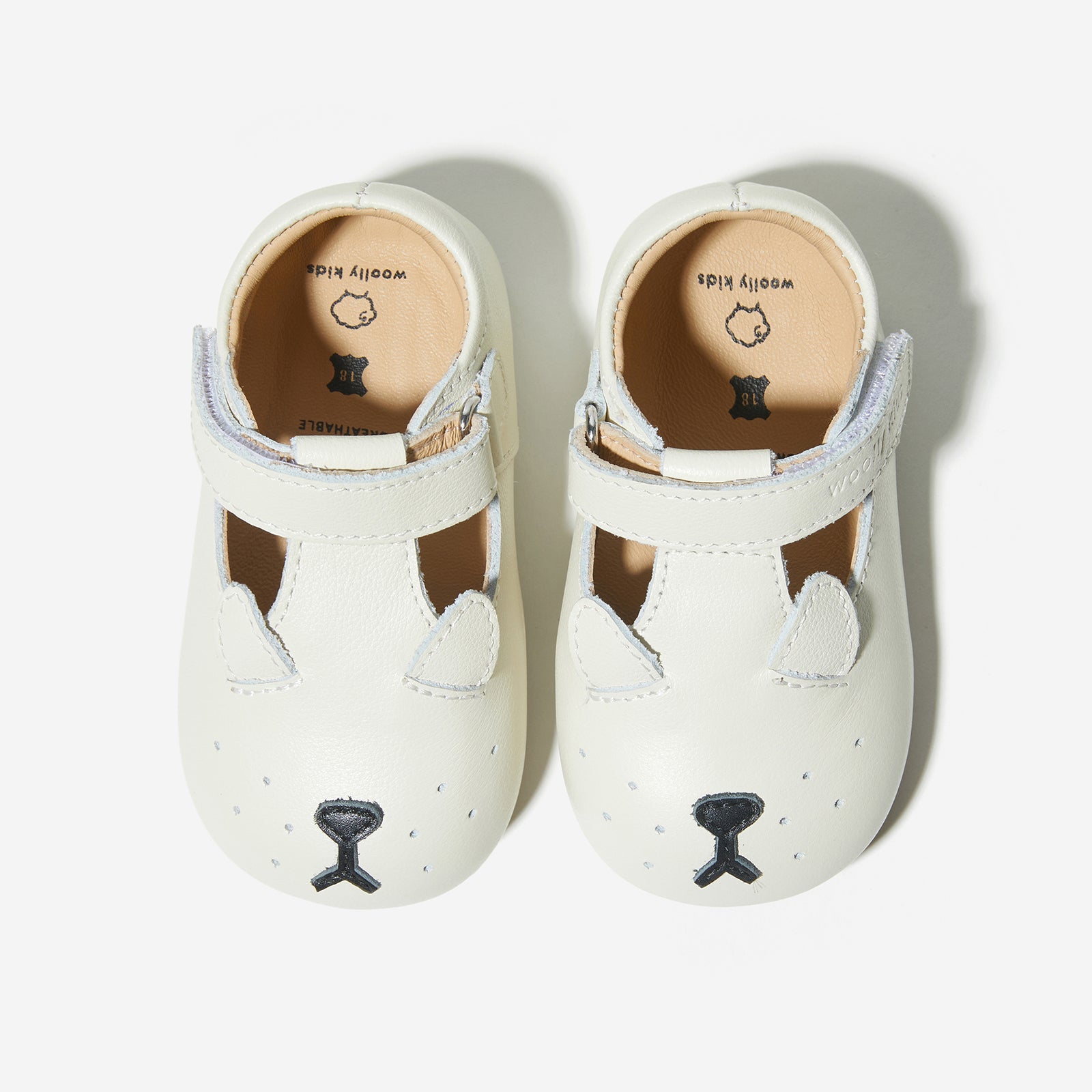 Animal Catalog - Puppies White