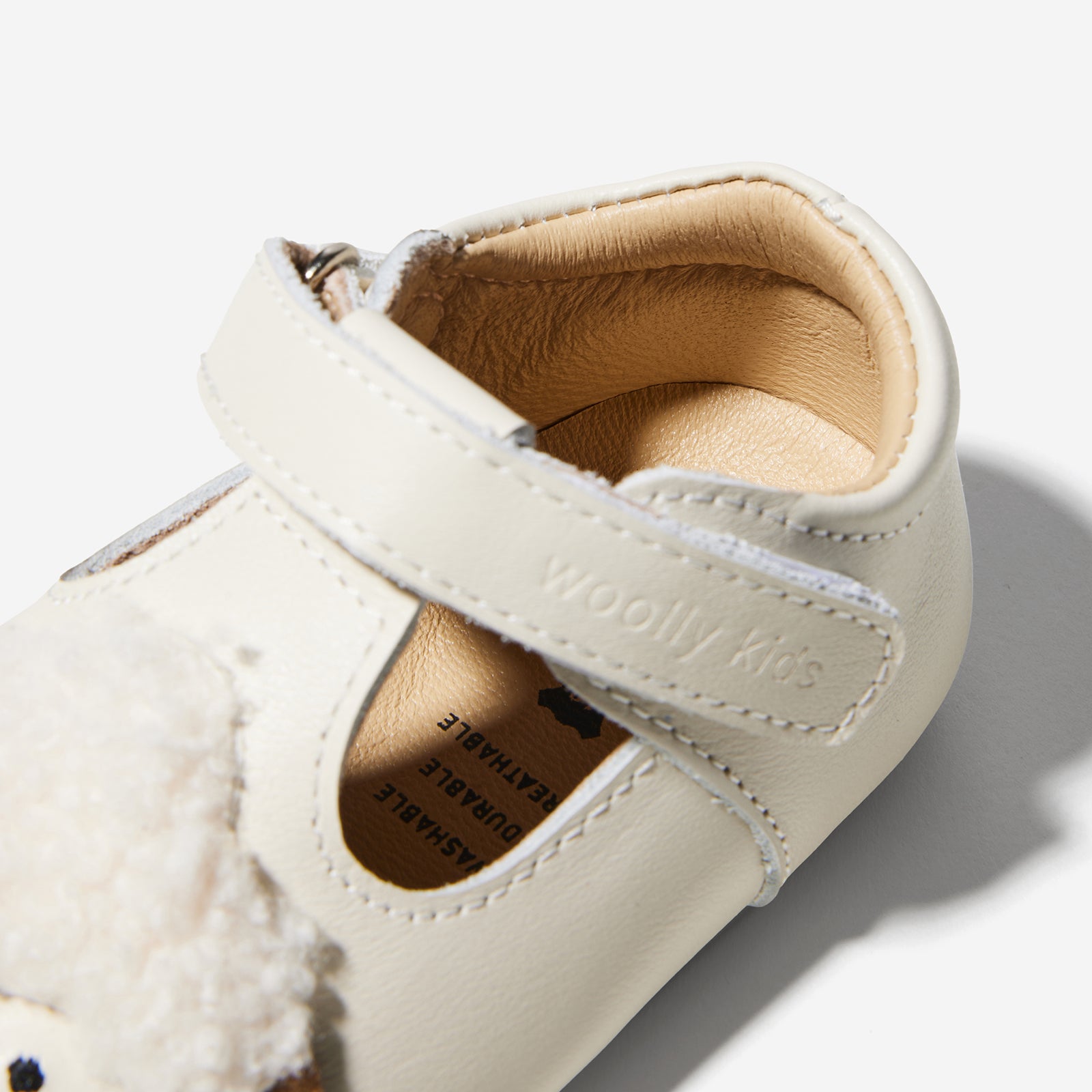 Animal Catalog - Woolly