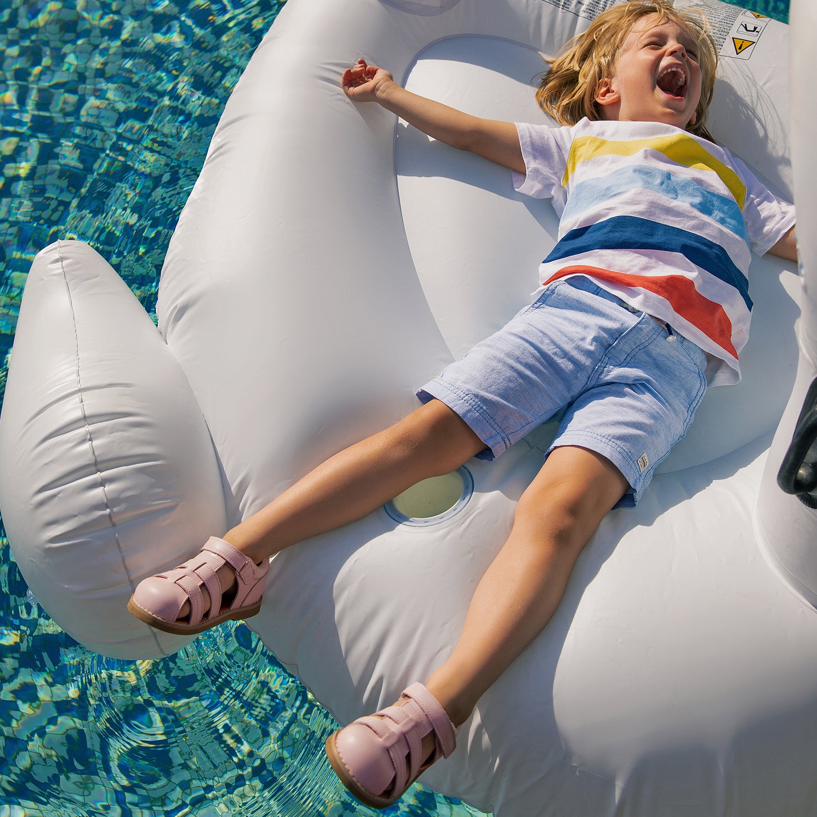 Beetle Gladiator - Berry Pink