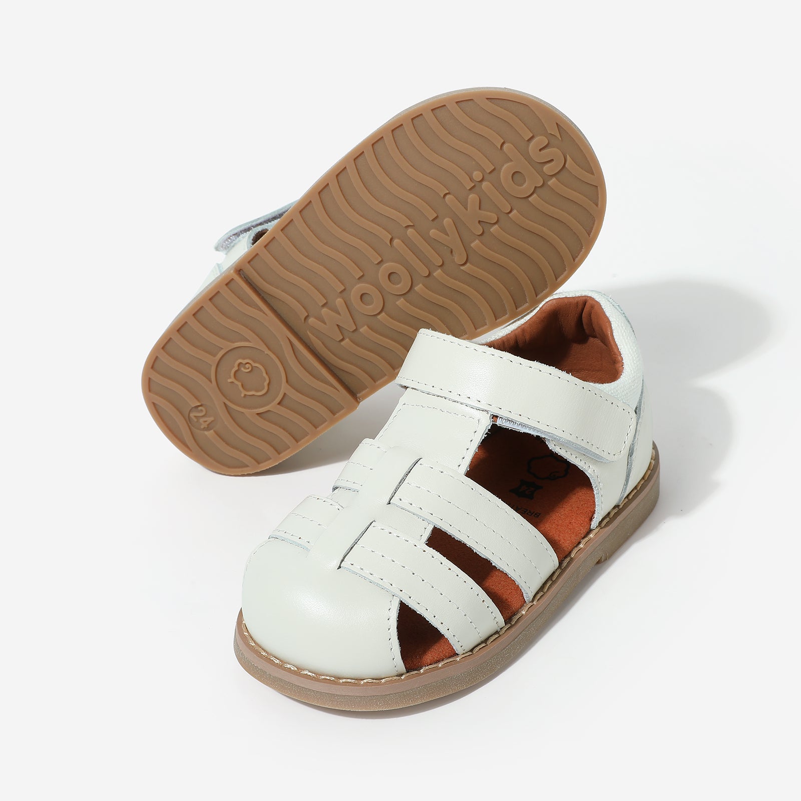 Beetle Gladiator - Cloud White