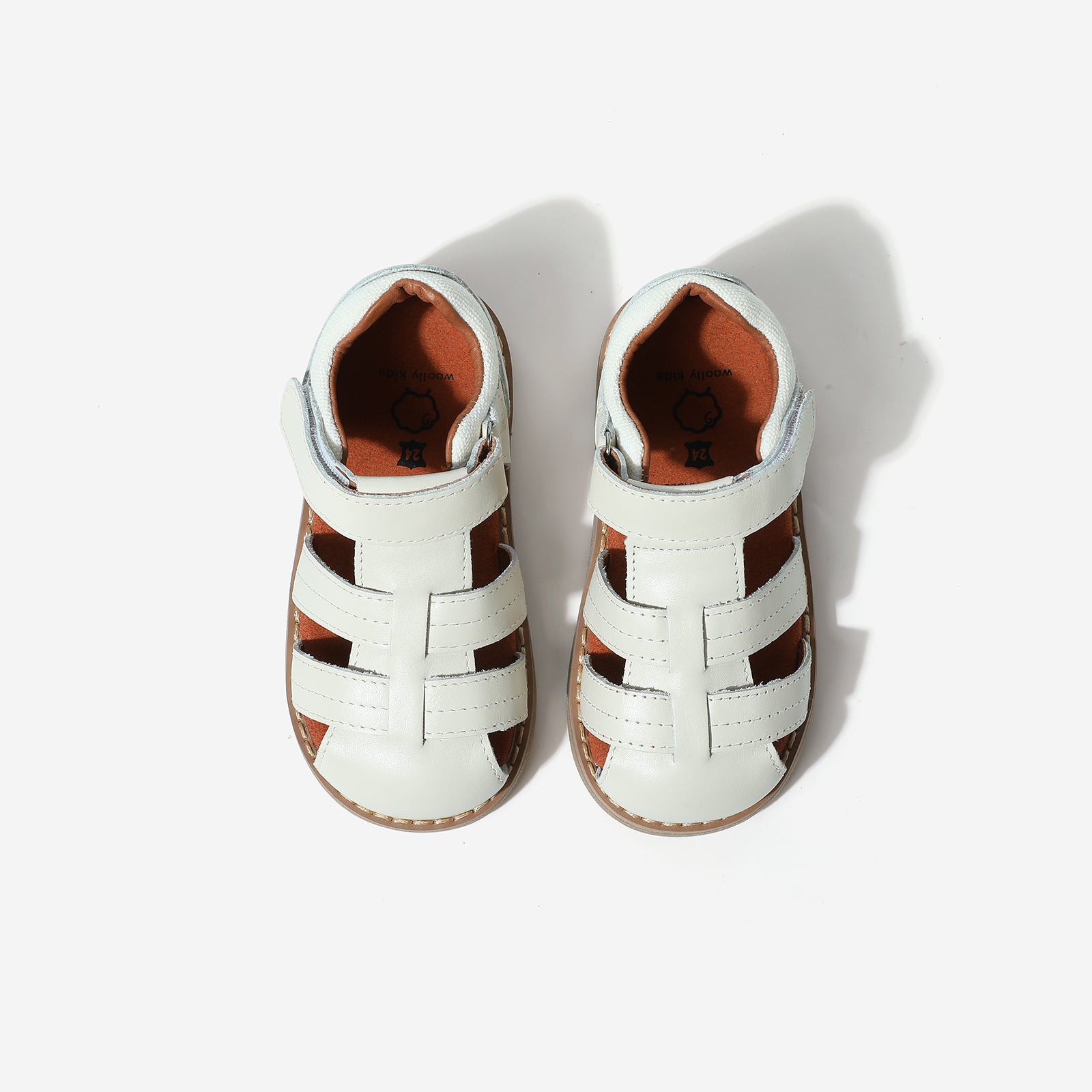 Beetle Gladiator - Cloud White