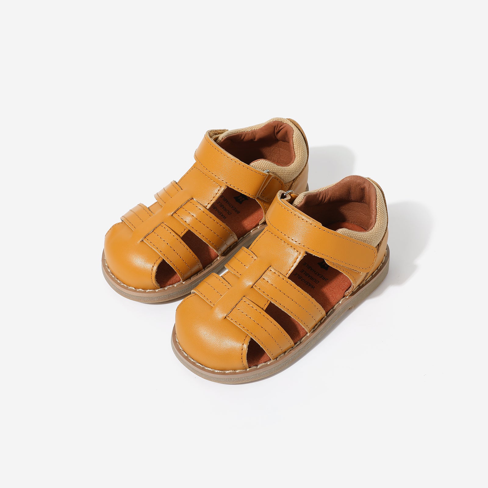 Beetle Gladiator - Coco Brown