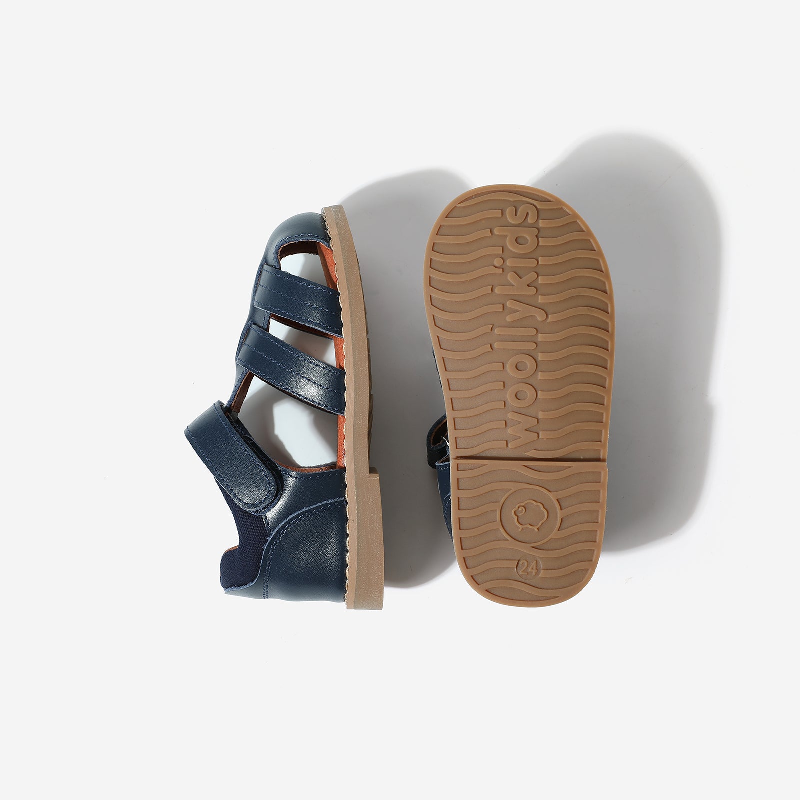 Beetle Gladiator - Dark Blue