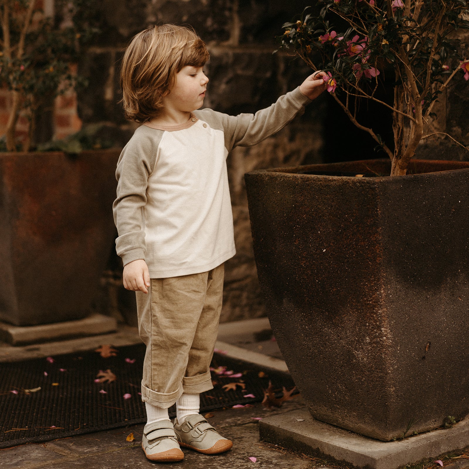 Chino - Asparagus Green - Woolly Kids - detail view