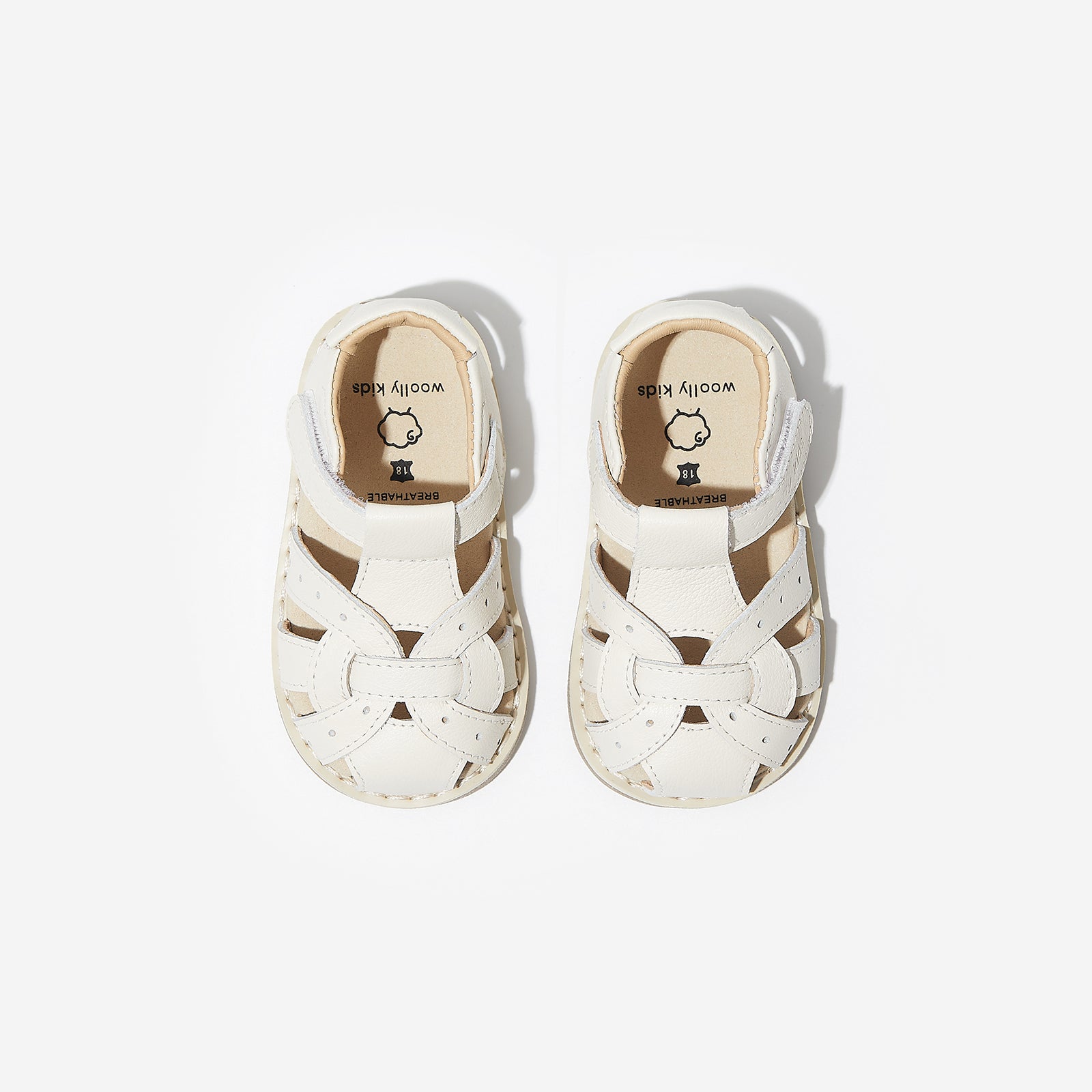 Clover - Ivory White