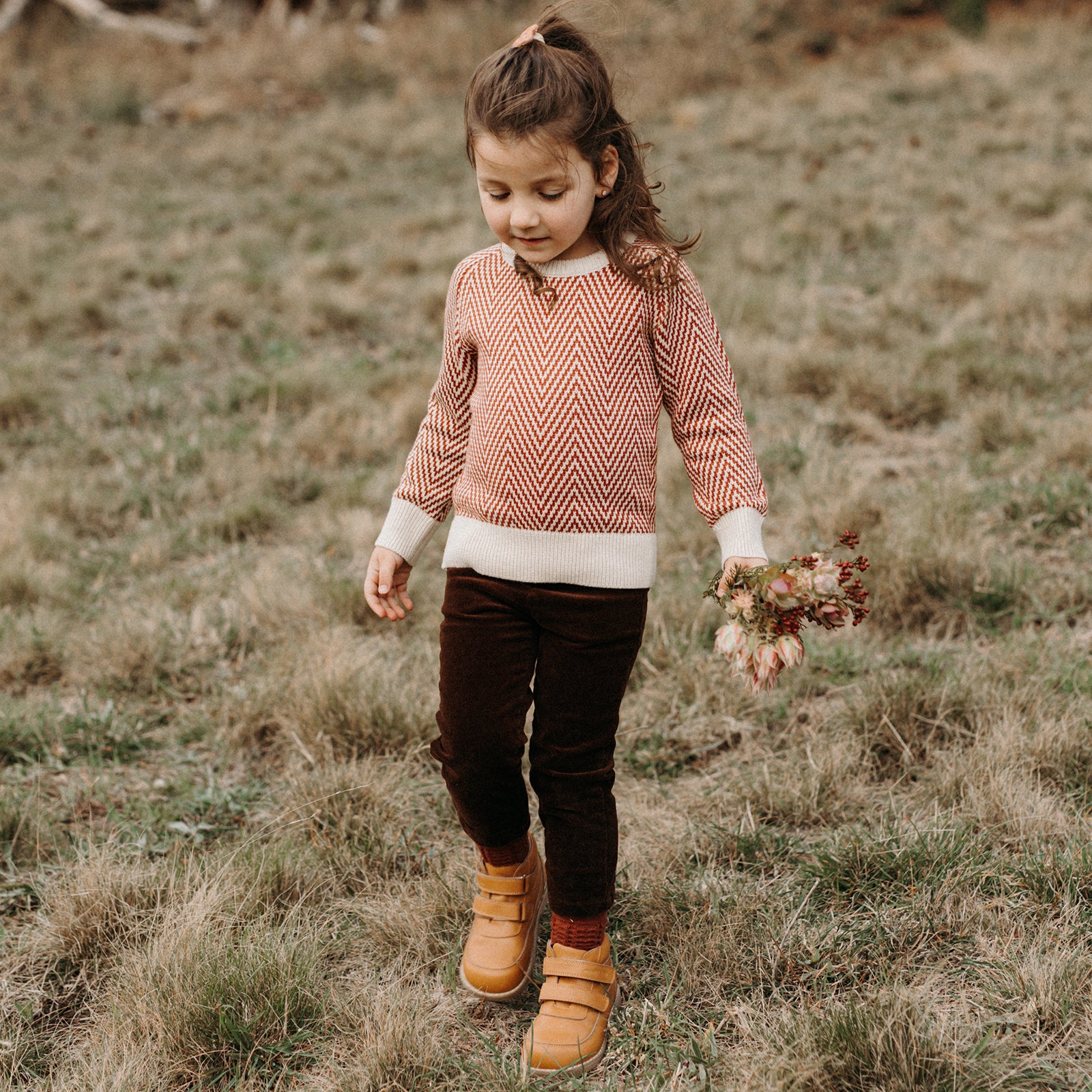 Cyril - Chestnut Brown