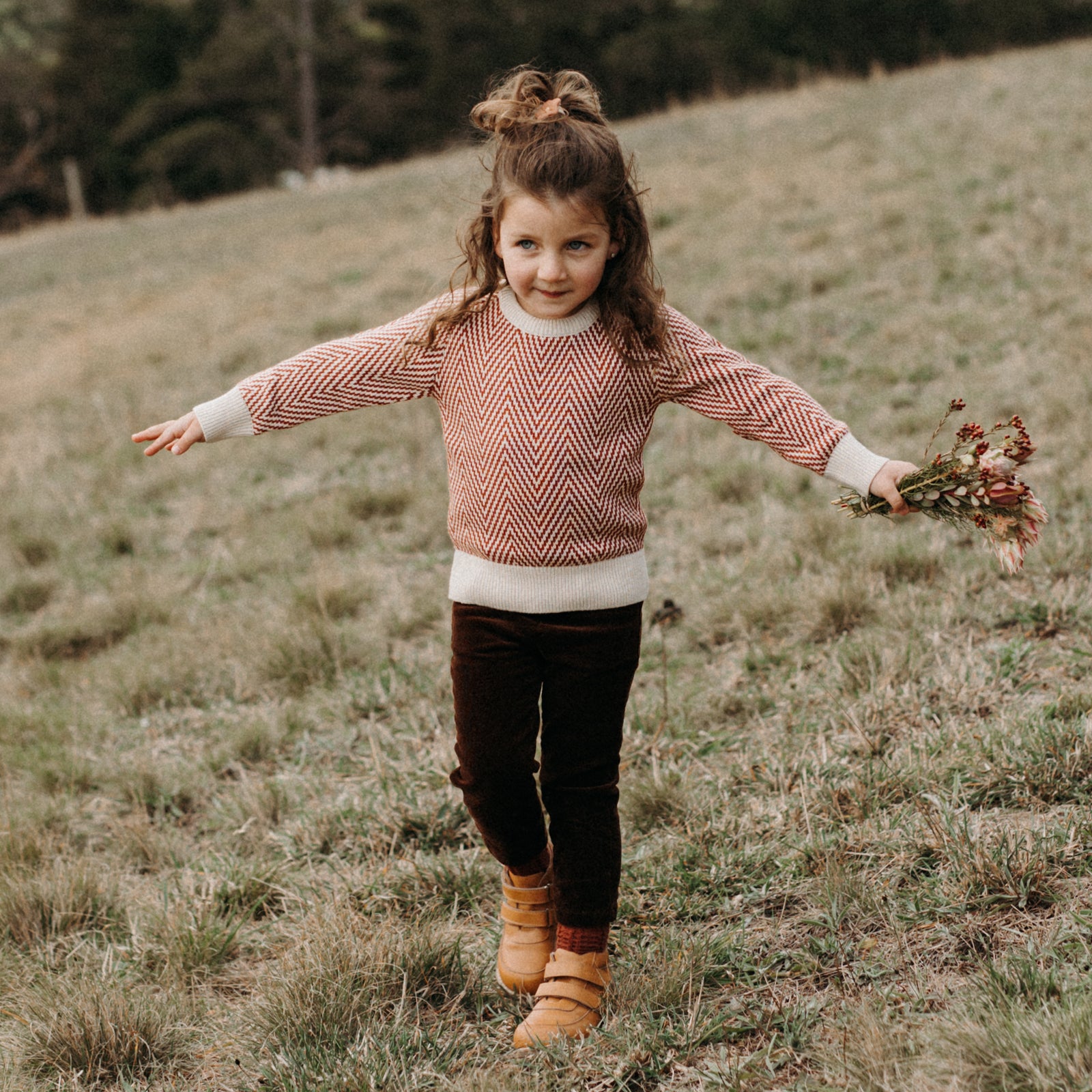 Cyril - Chestnut Brown