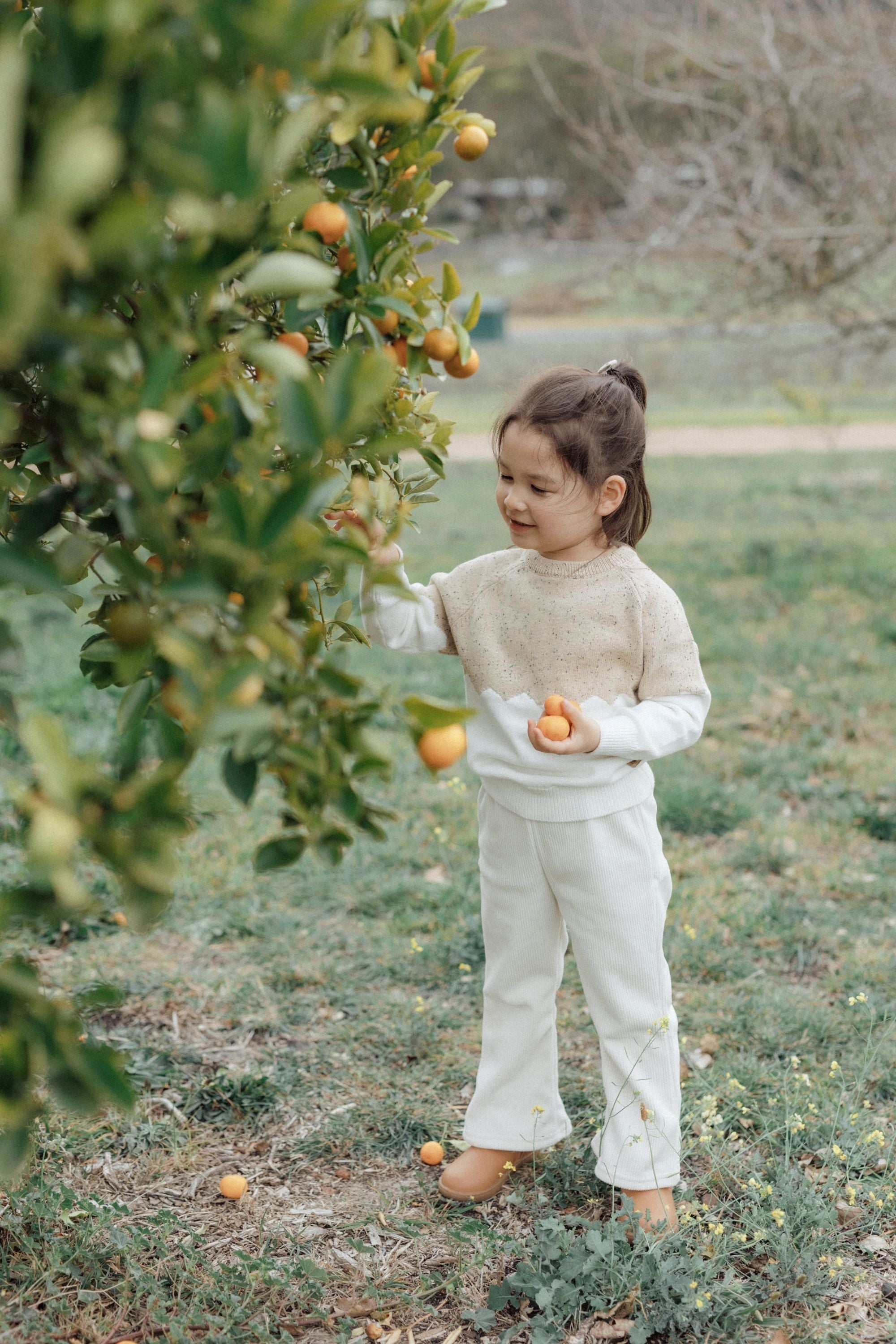 wirrawirra baby outfitsice cream sweater oatmeal24 Winter Cardigans Girls New Arrivals Sweaters