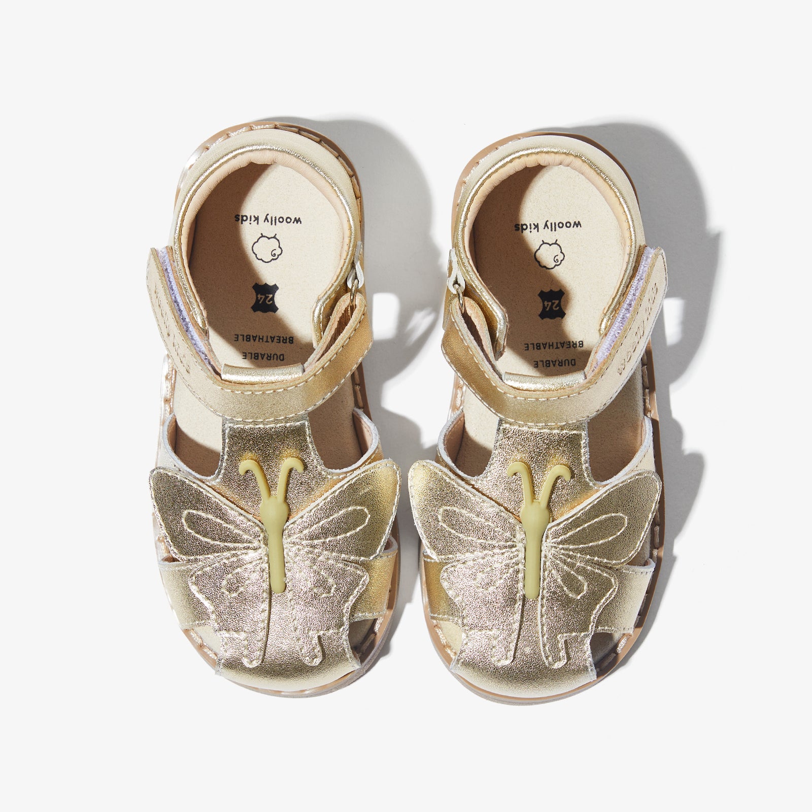 Lola - Wheatland Gold