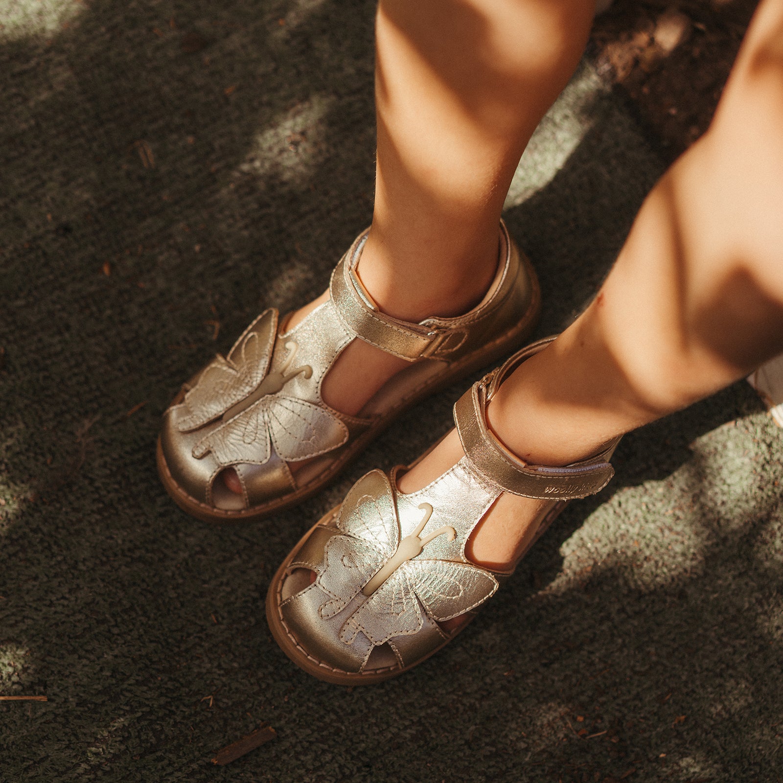 Lola - Wheatland Gold