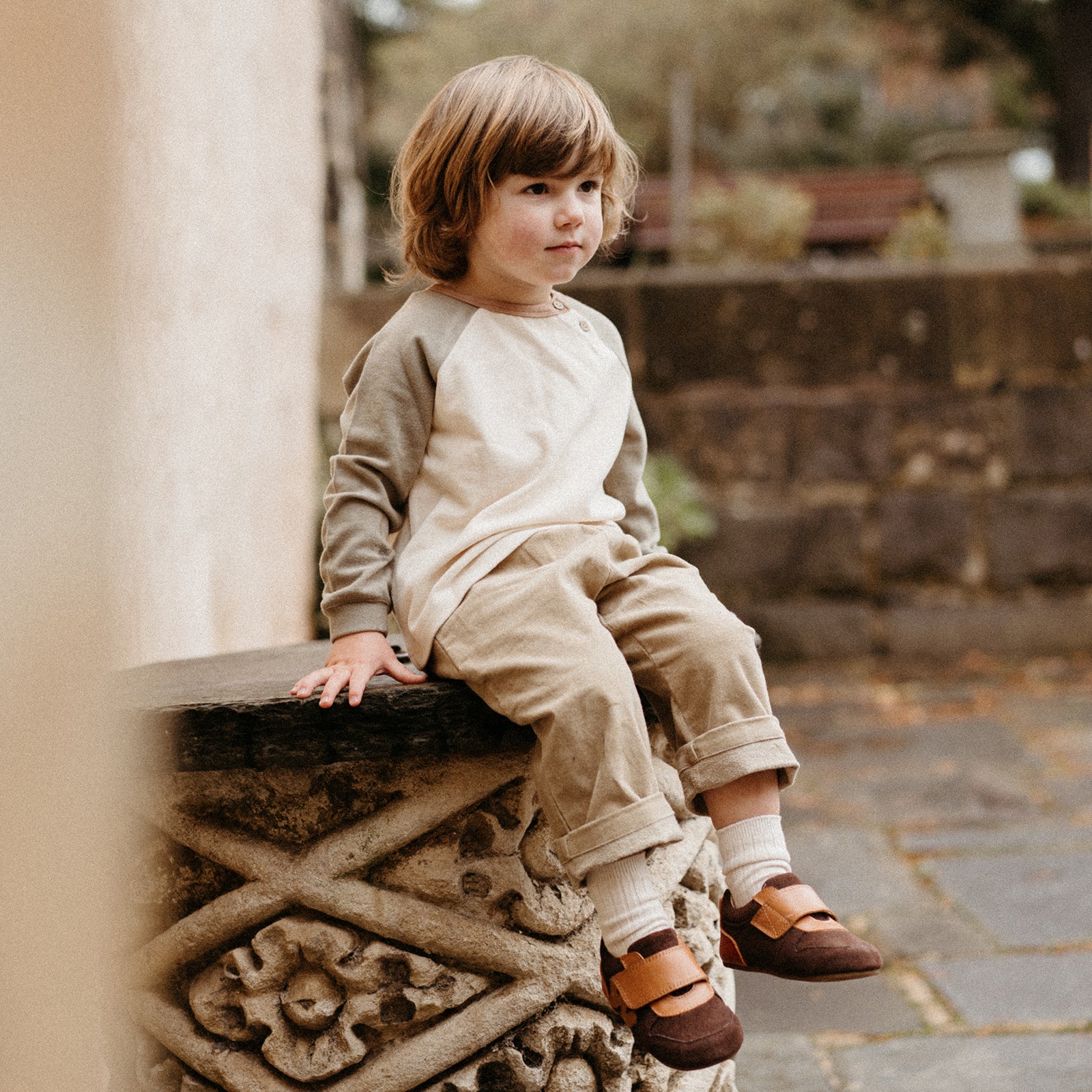 Maisie - Reddish Brown