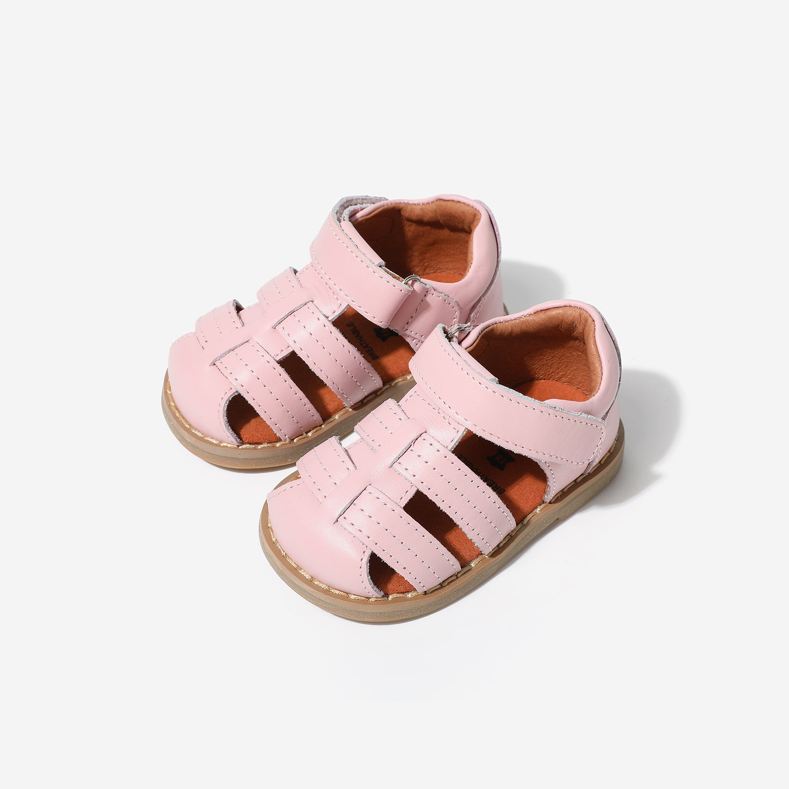 Mini Beetle Gladiator - Berry Pink