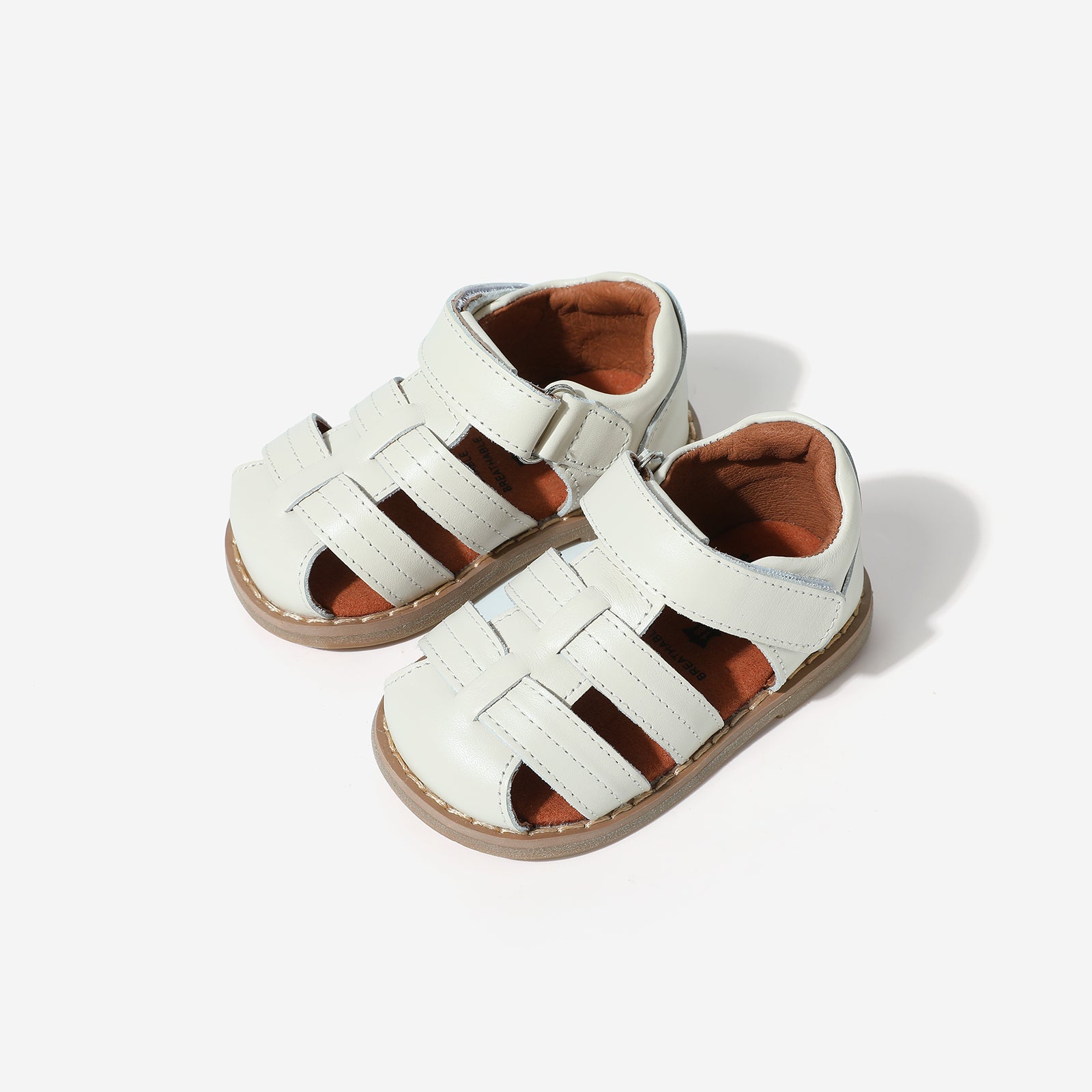 Mini Beetle Gladiator - Cloud White