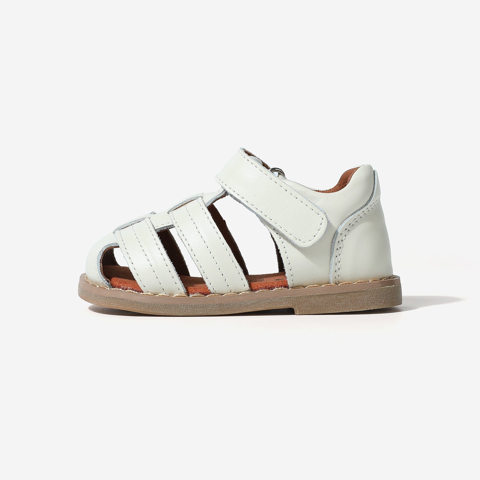 Mini Beetle Gladiator - Cloud White