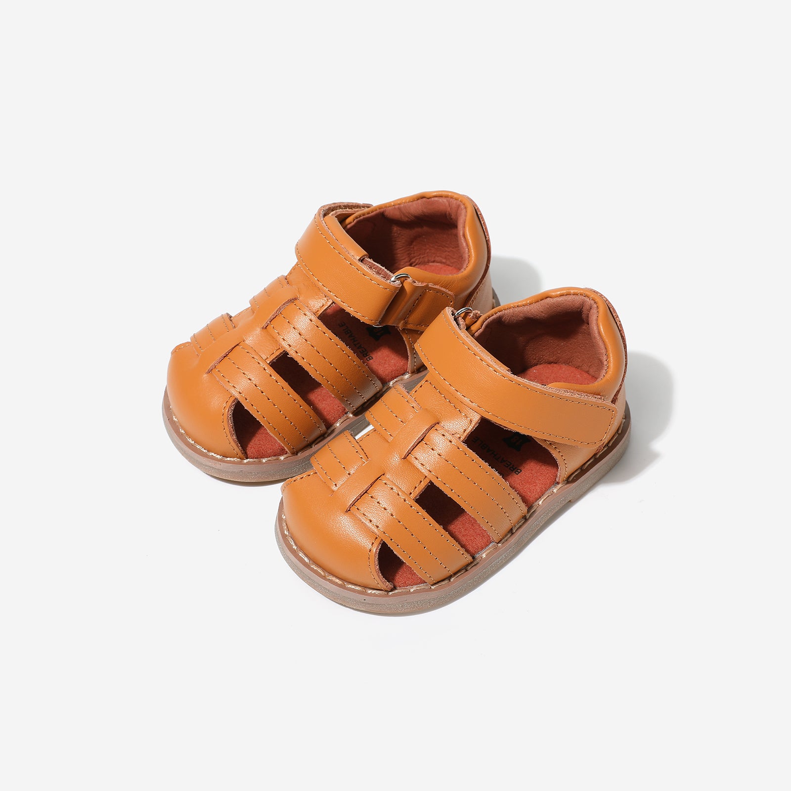 Mini Beetle Gladiator - Cocoa Brown