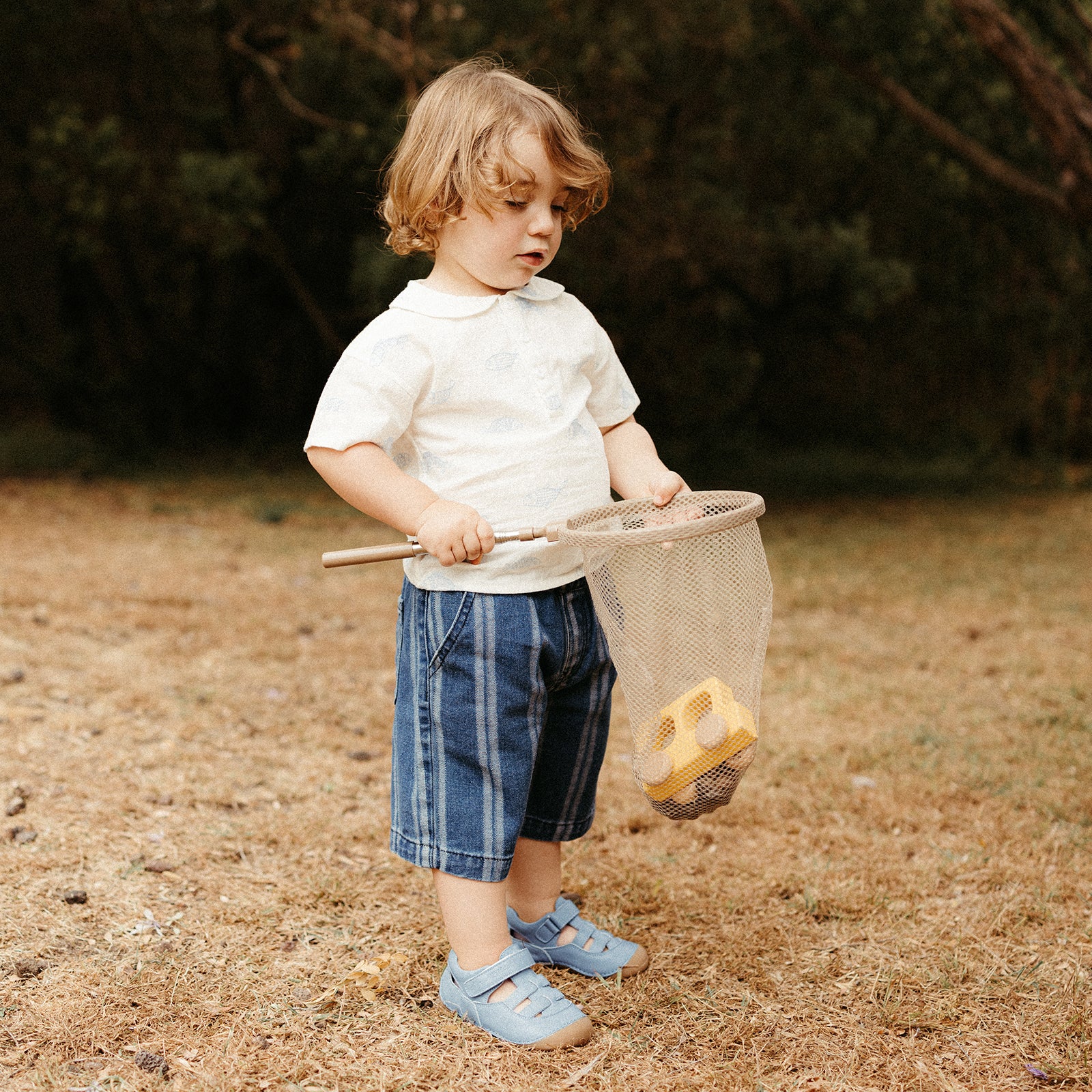 Mini Kori - Haze Blue