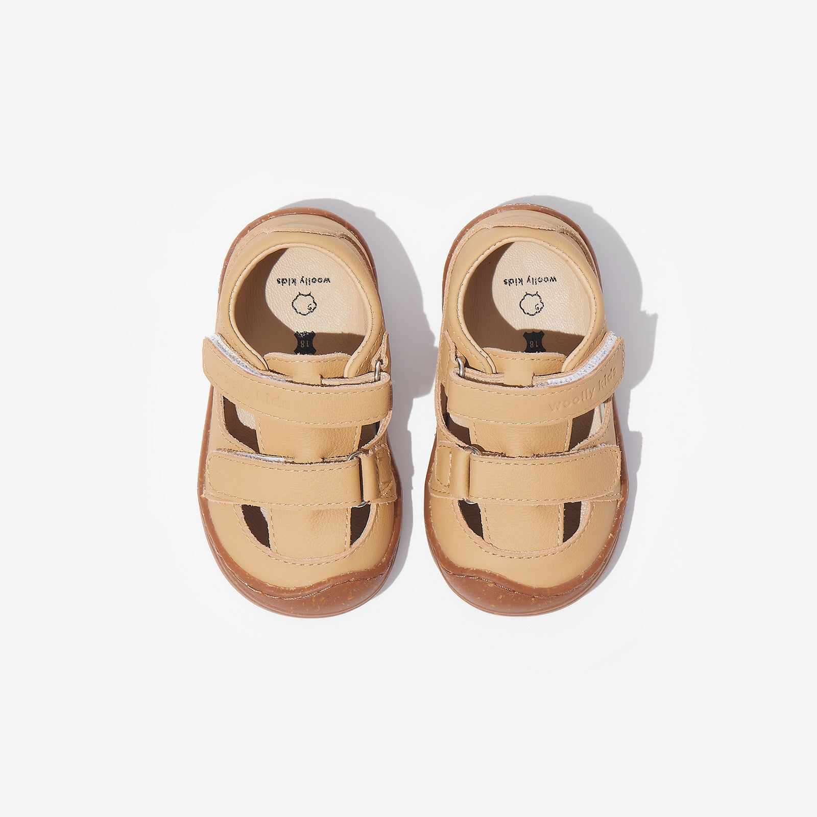 Poppy - Desert Yellow