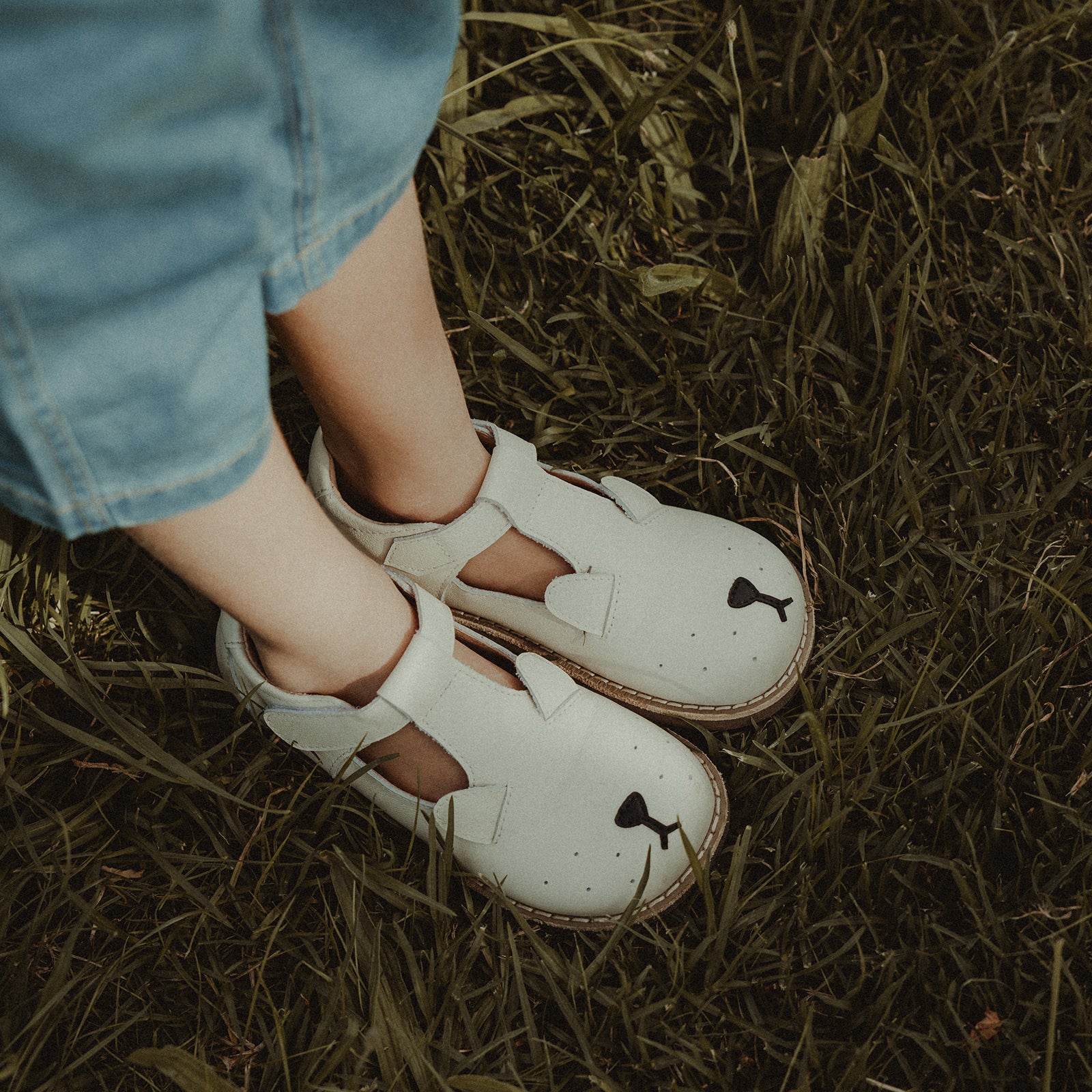 Puppies - Blossoms White