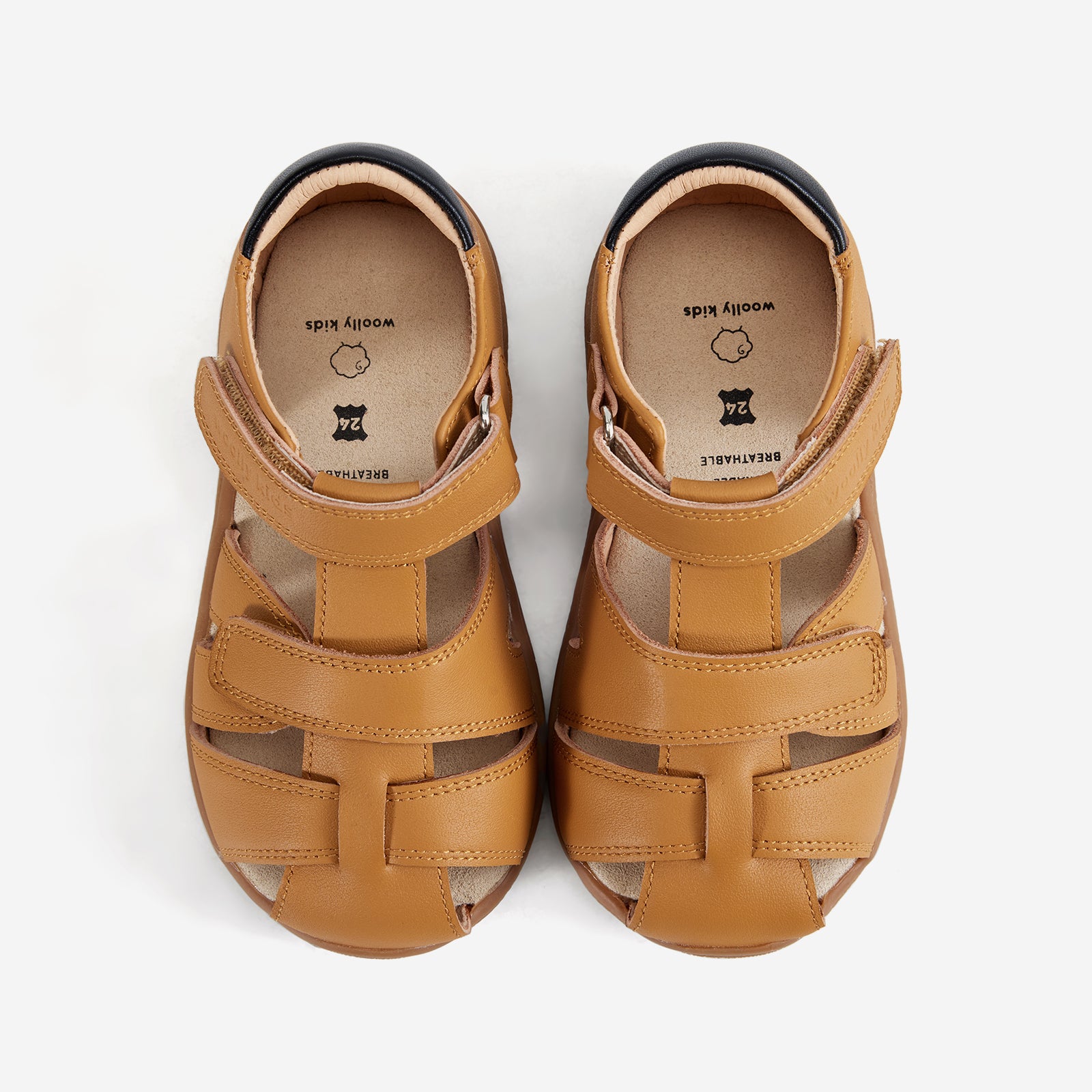Tavi - Latte Brown
