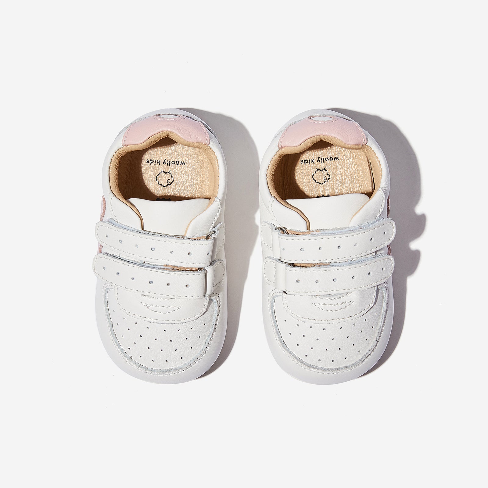 Zeppelin - Cherry Pink