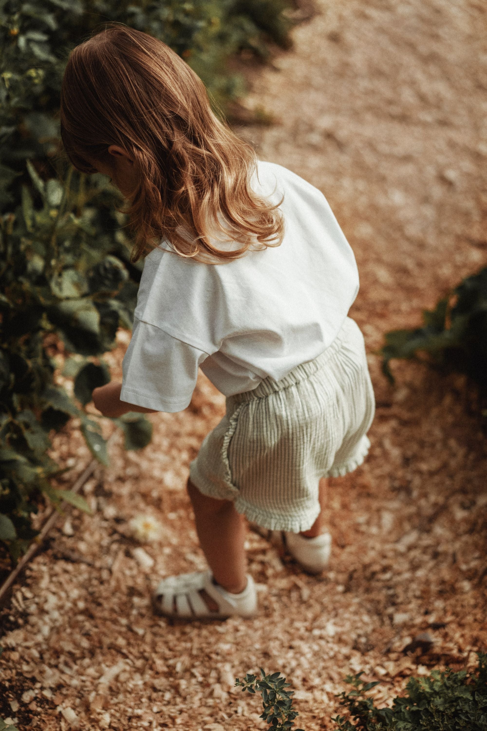 wirrawirra cute baby clothes ocean printed t shirt starfish 24 Summer Boys Essentials Girls New Arrivals T Shirts