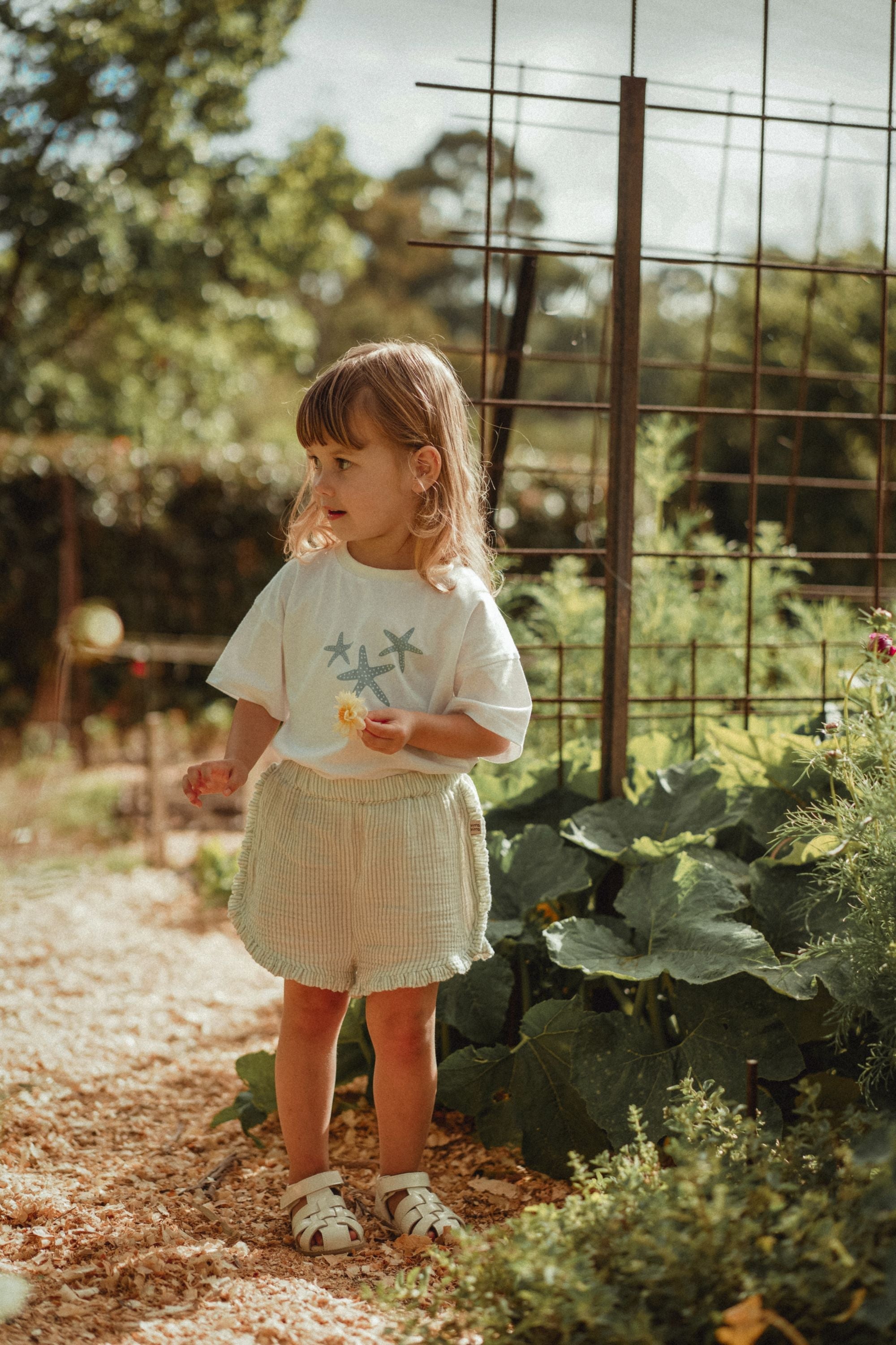 wirrawirra cute baby clothes double layer crepe striped shorts mint green 24 Summer Girls New Arrivals Shorts