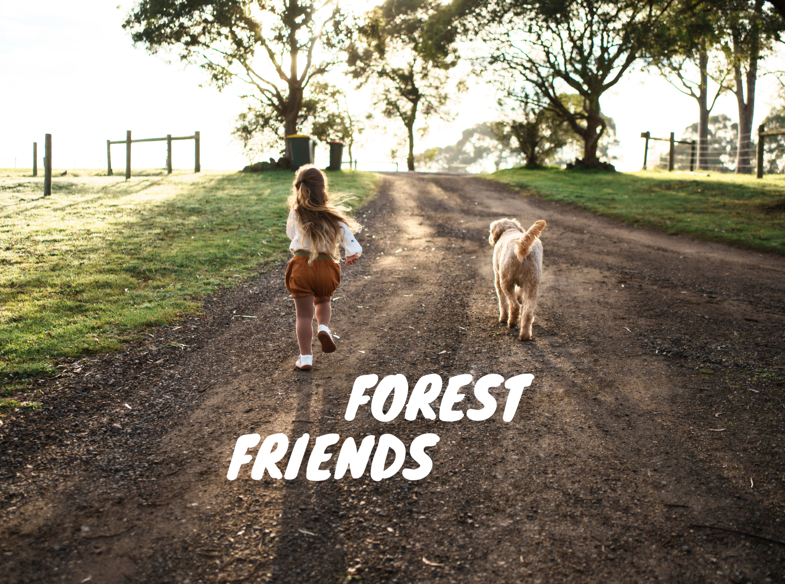 Perfect for Little Adventurers: Forest Friends Collection