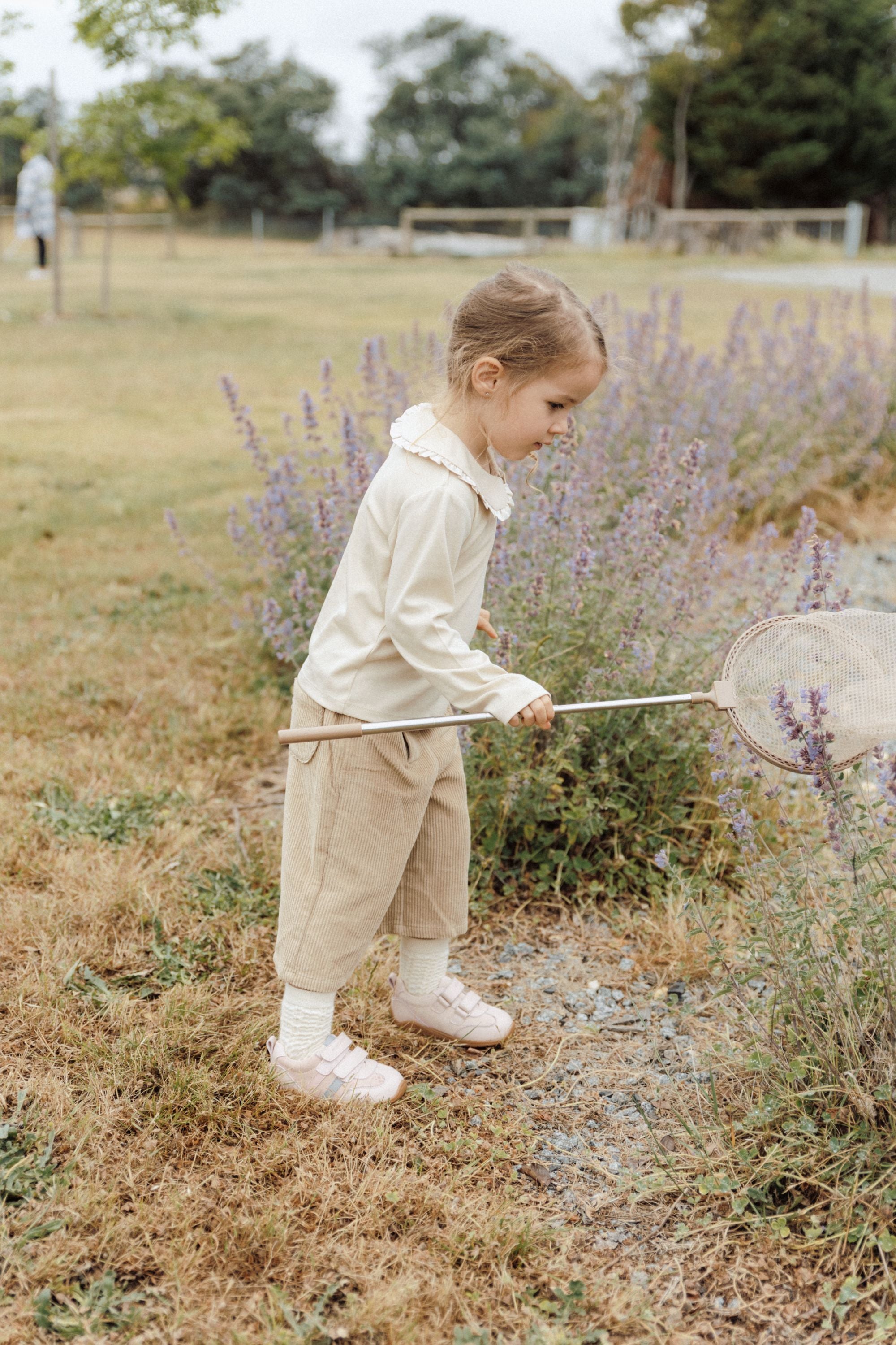 Lace Collar T-shirt - Milk Tea