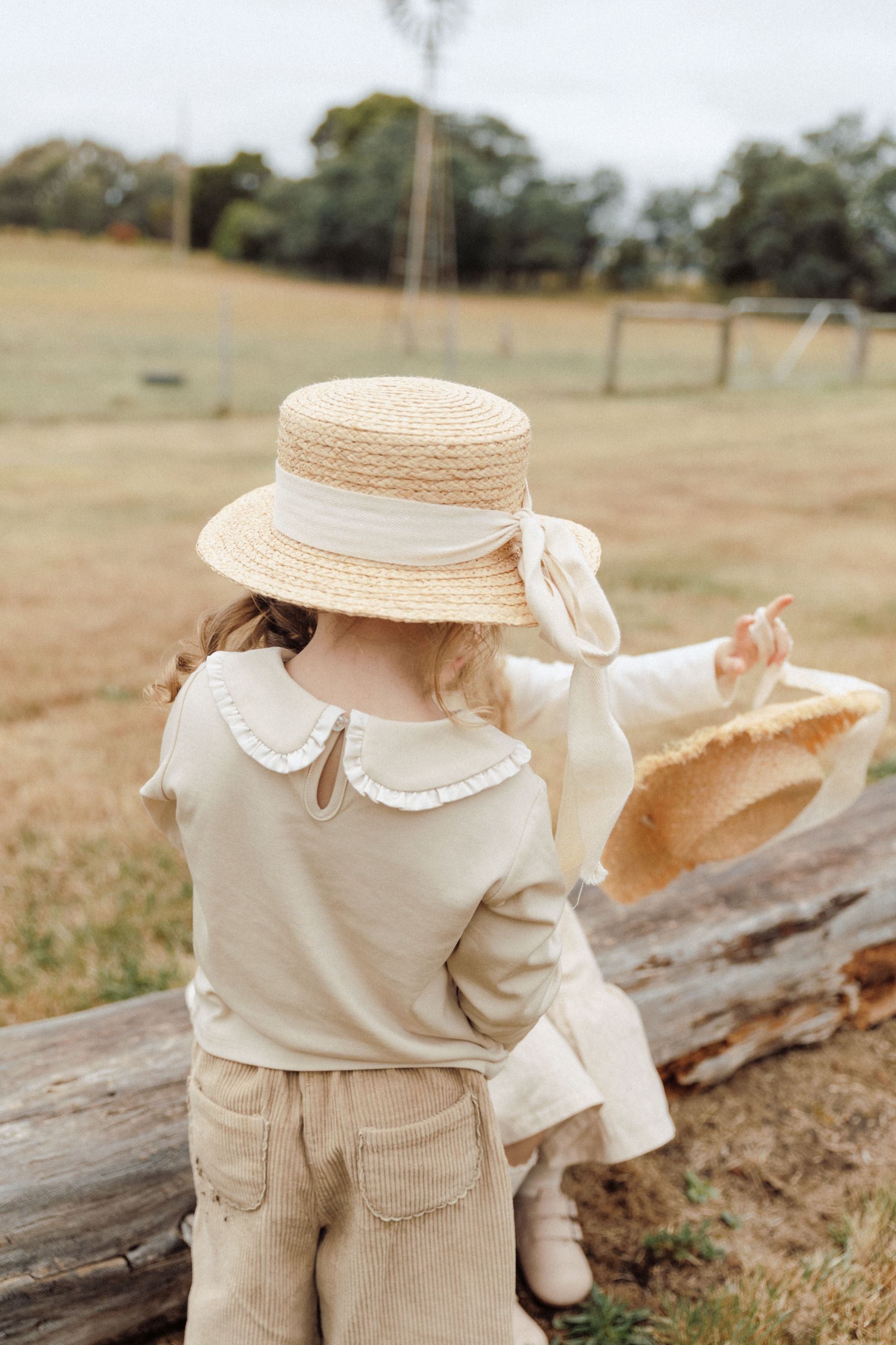 Lace Collar T-shirt - Milk Tea