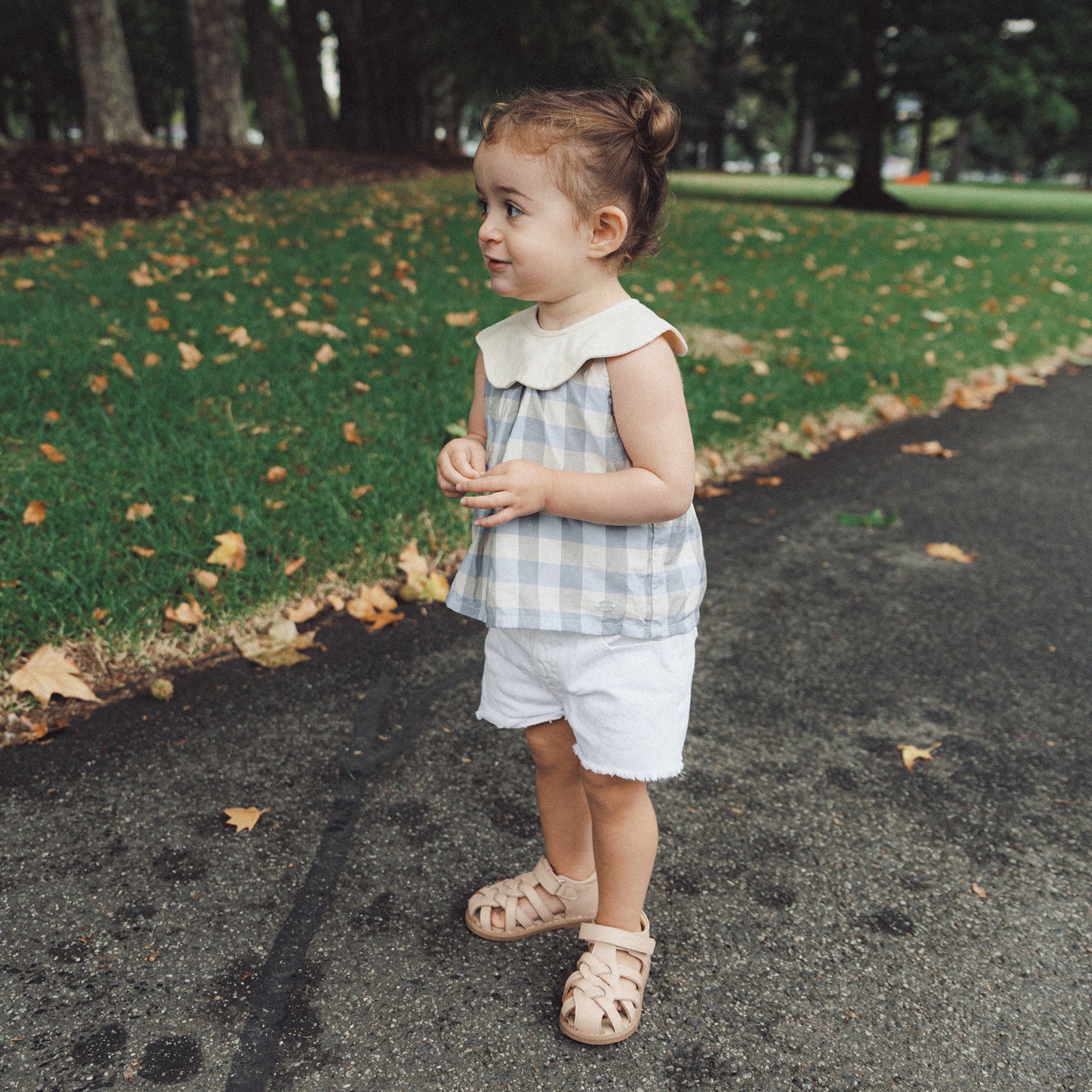 Echo - Milktea Brown