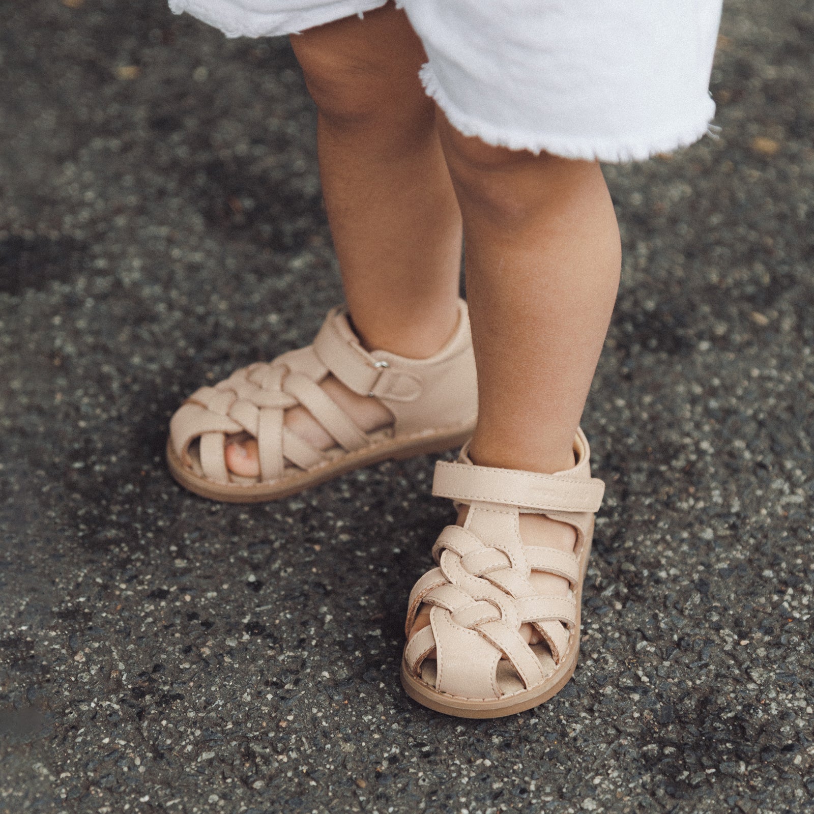 Echo - Milktea Brown