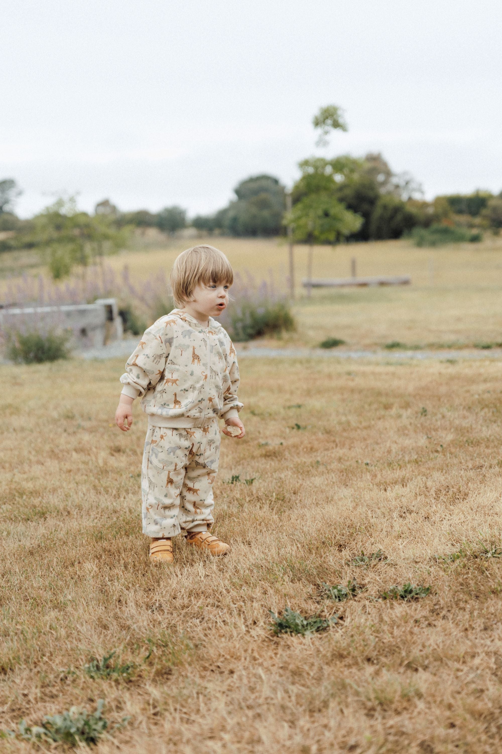 Zoo Hooded Sweatshirt - Animal Paradise