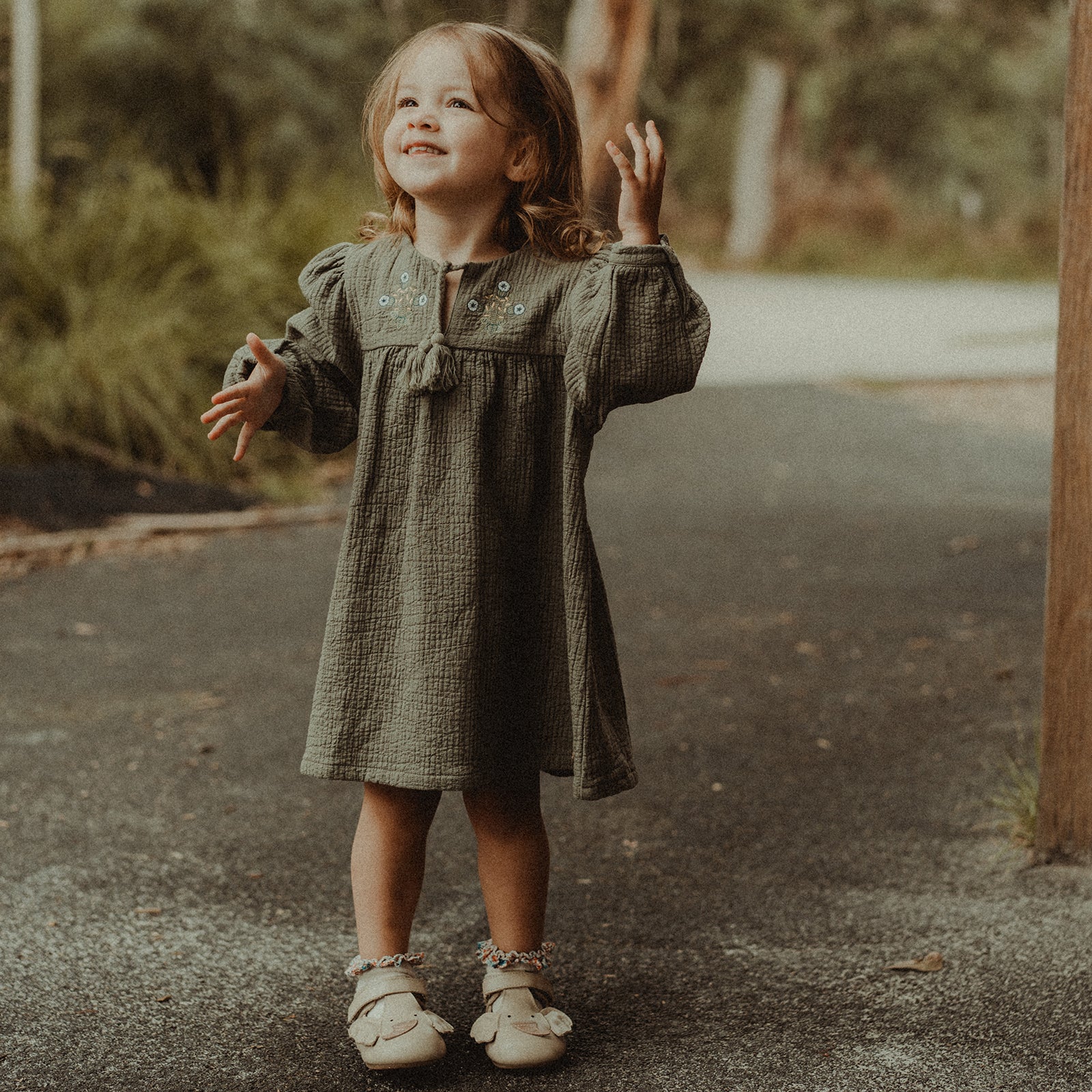 Animal Catalog - Elmer