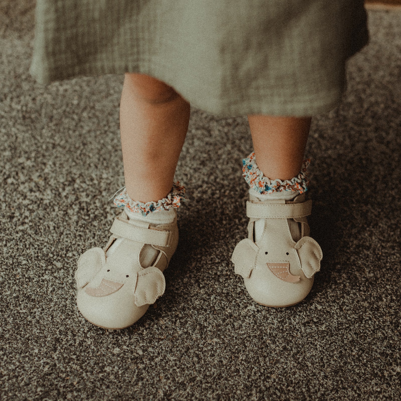 Animal Catalog - Elmer