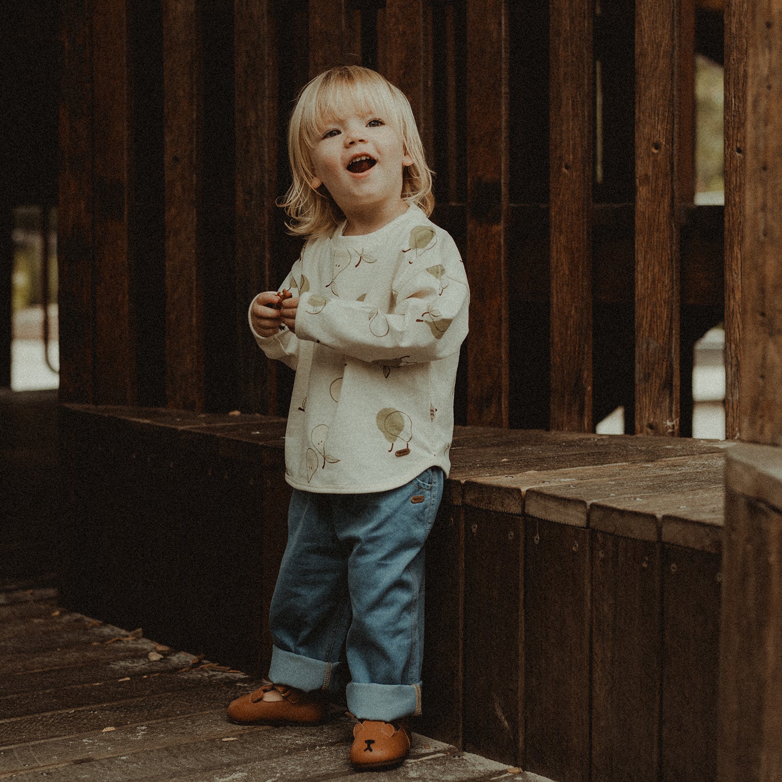 Animal Catalog - Puppies Brown