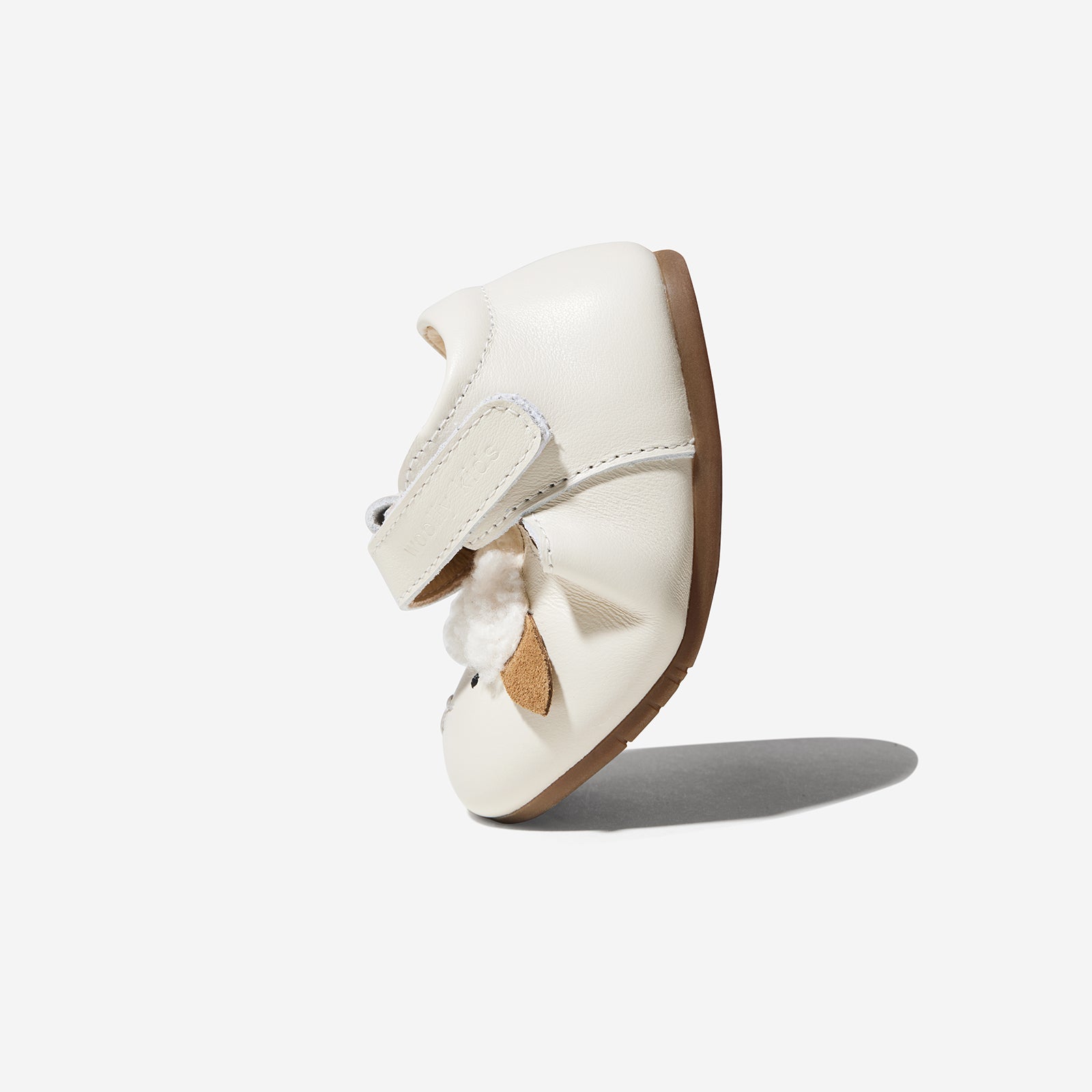 Animal Catalog - Woolly