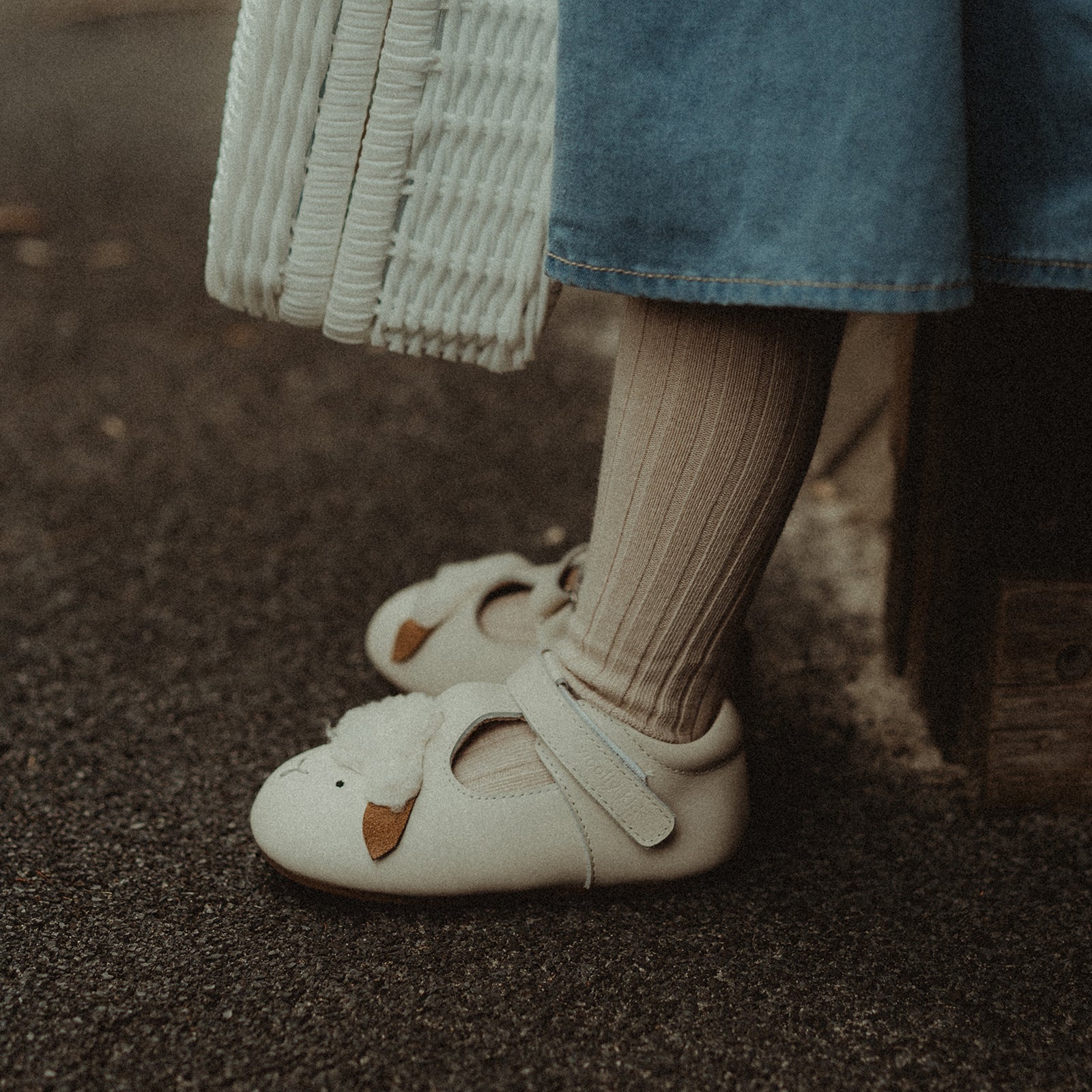 Animal Catalog - Woolly