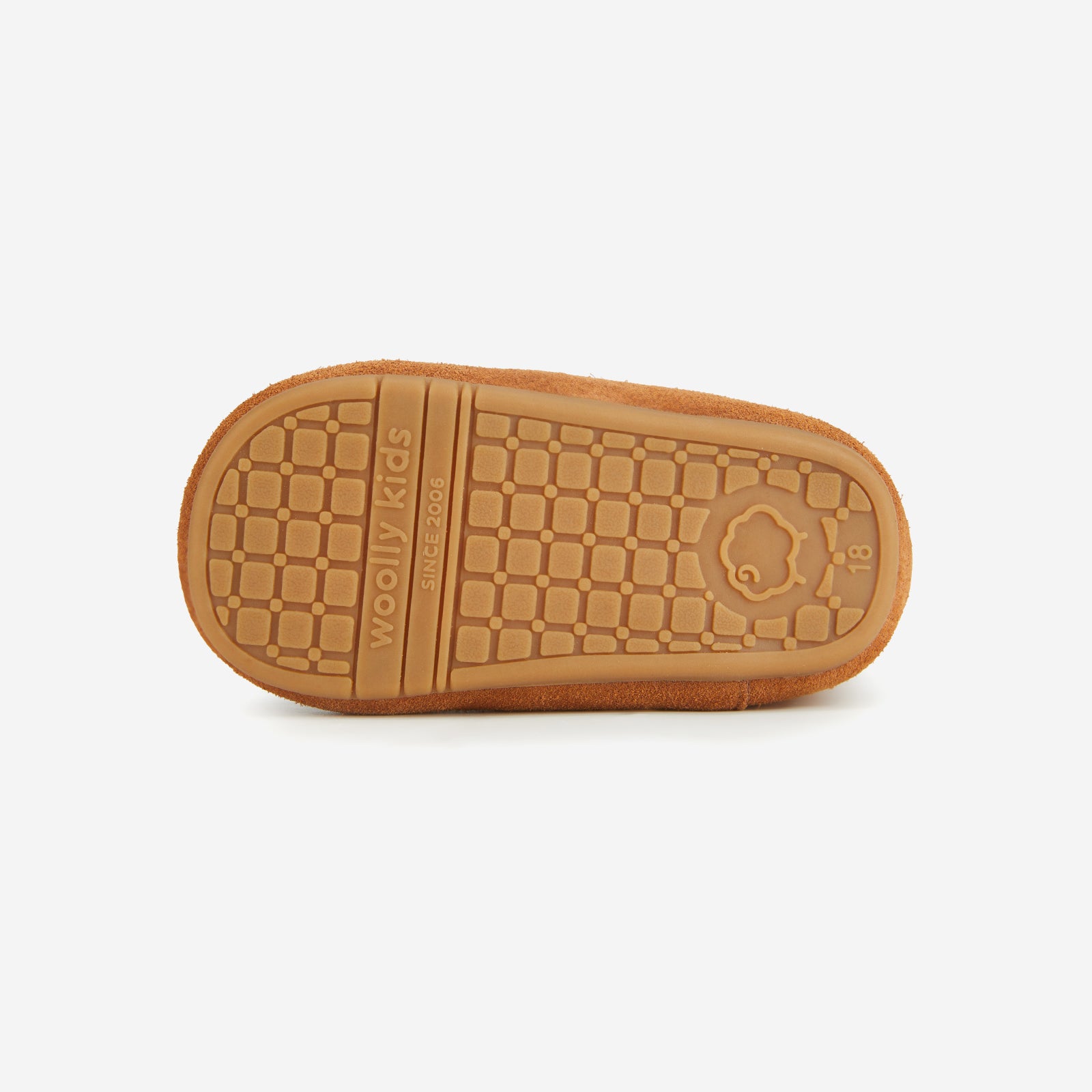 Animal Encounters - Kangaroo Brown