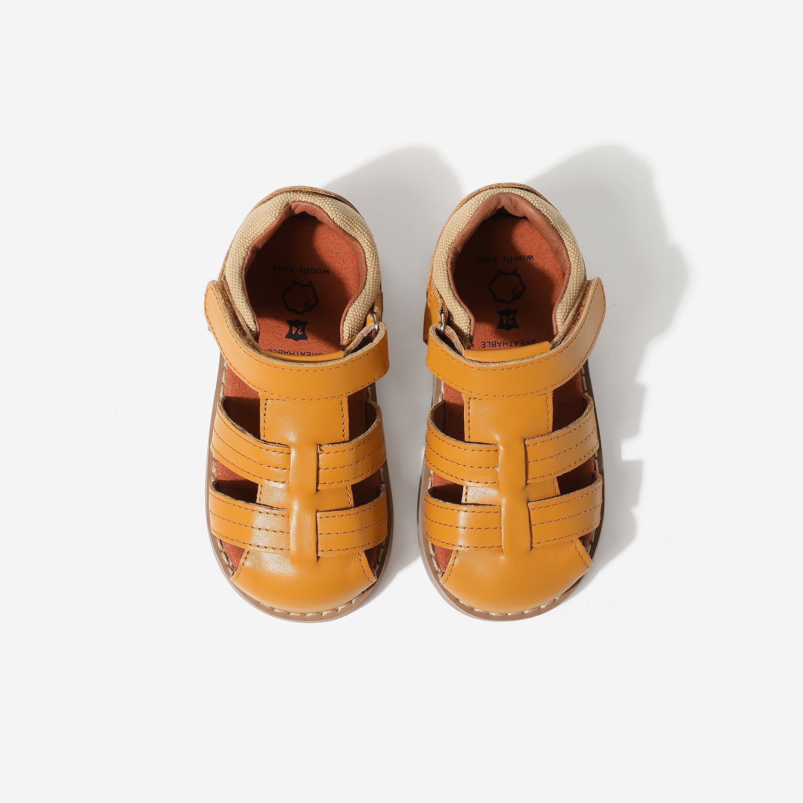 Beetle Gladiator - Coco Brown