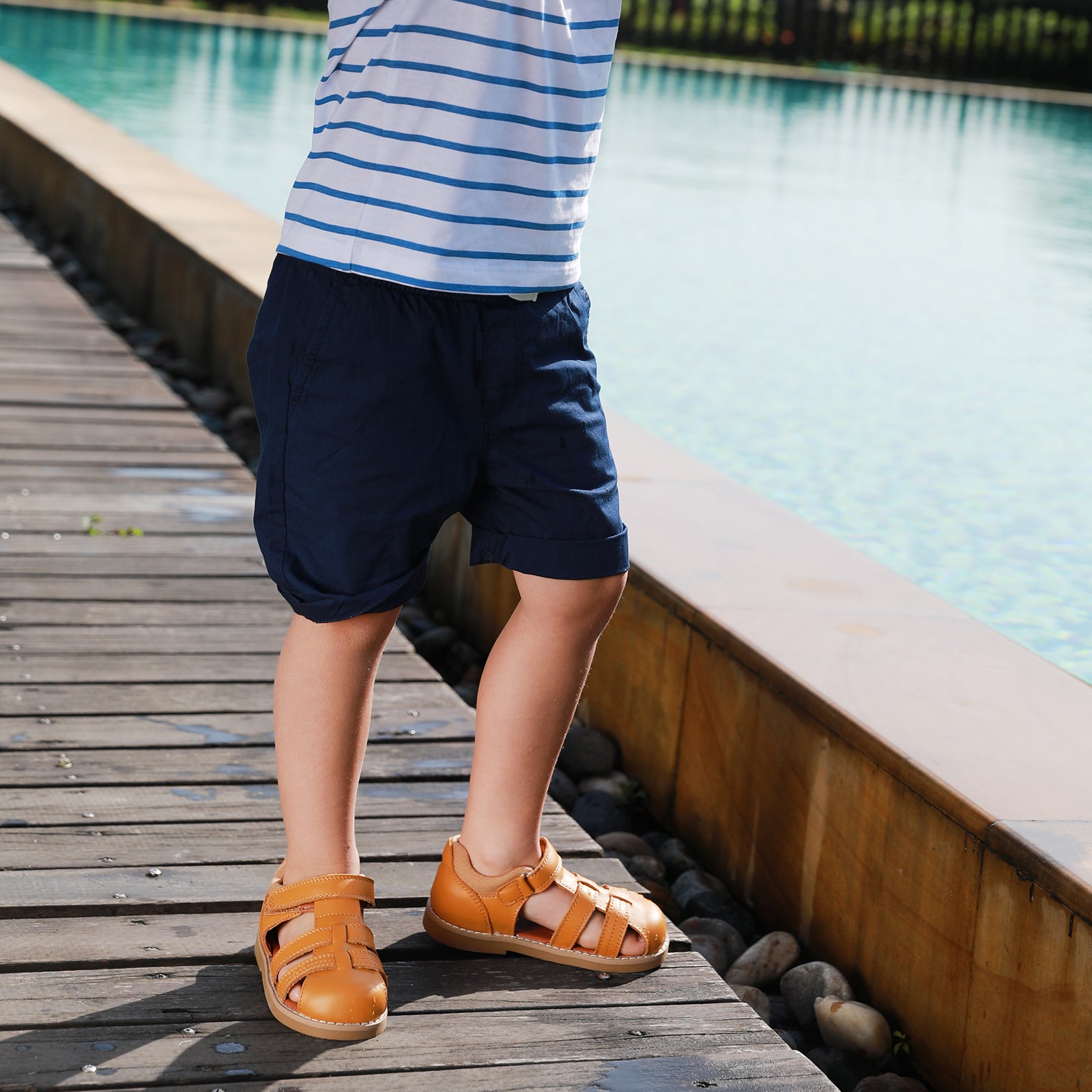 Beetle Gladiator - Coco Brown