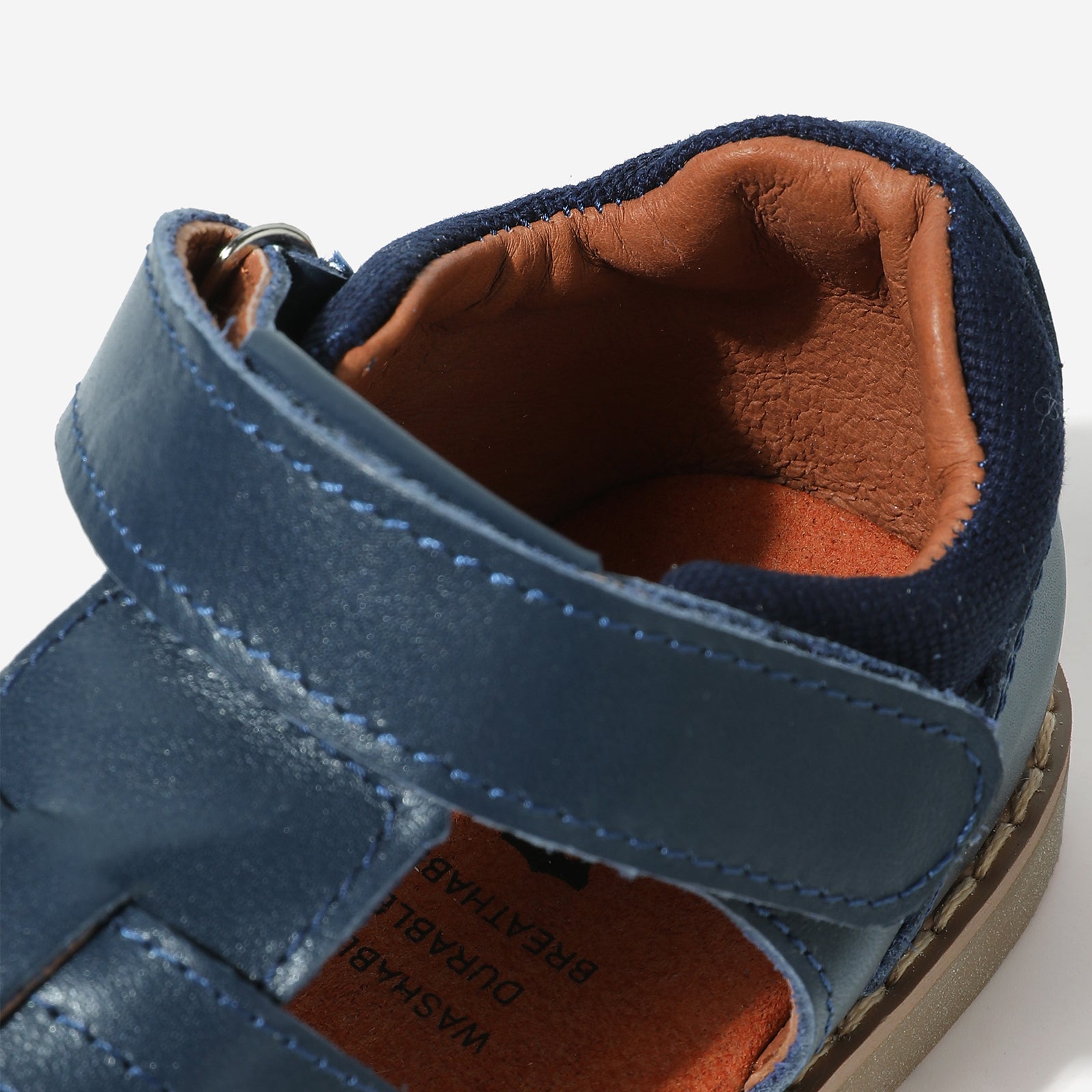 Beetle Gladiator - Dark Blue