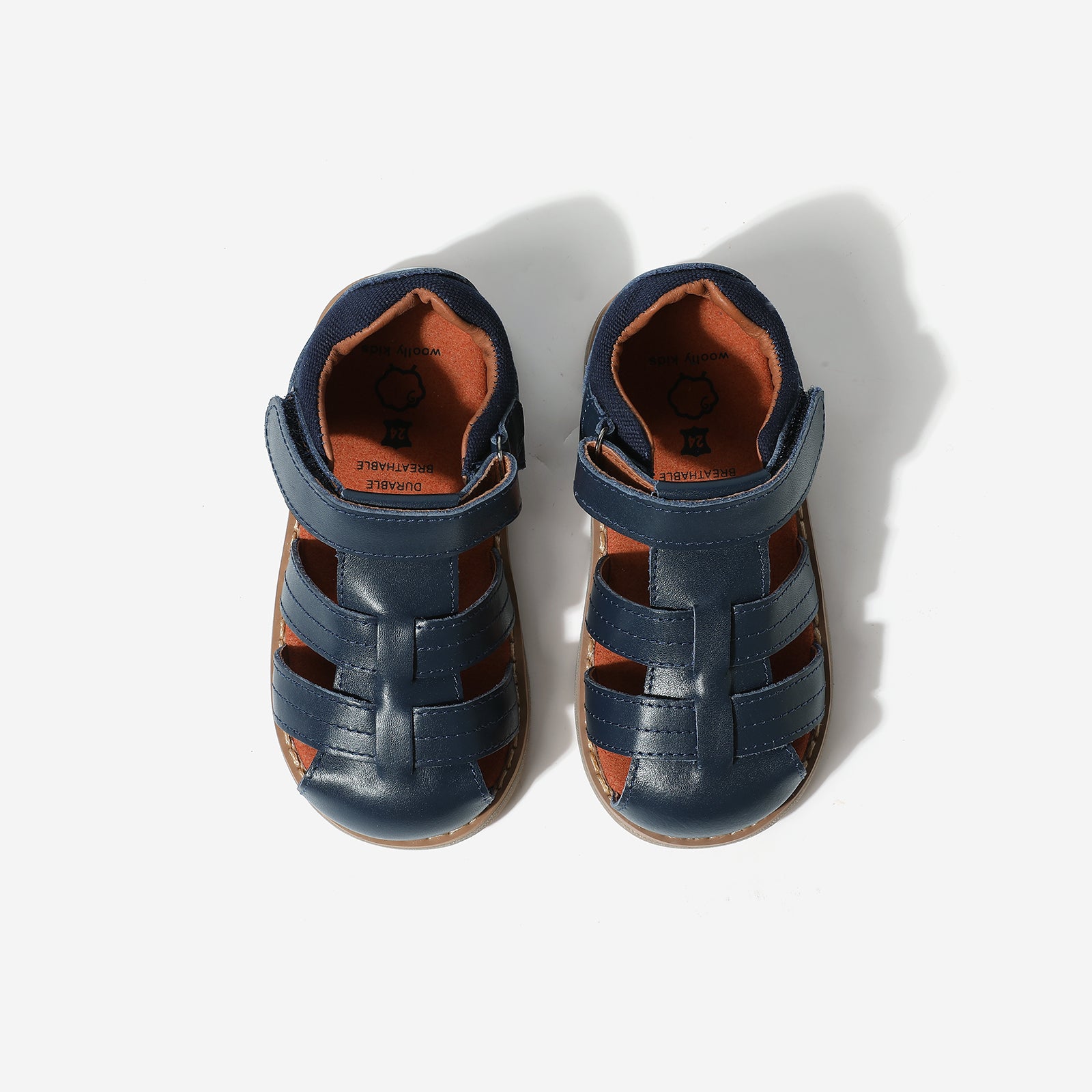 Beetle Gladiator - Dark Blue