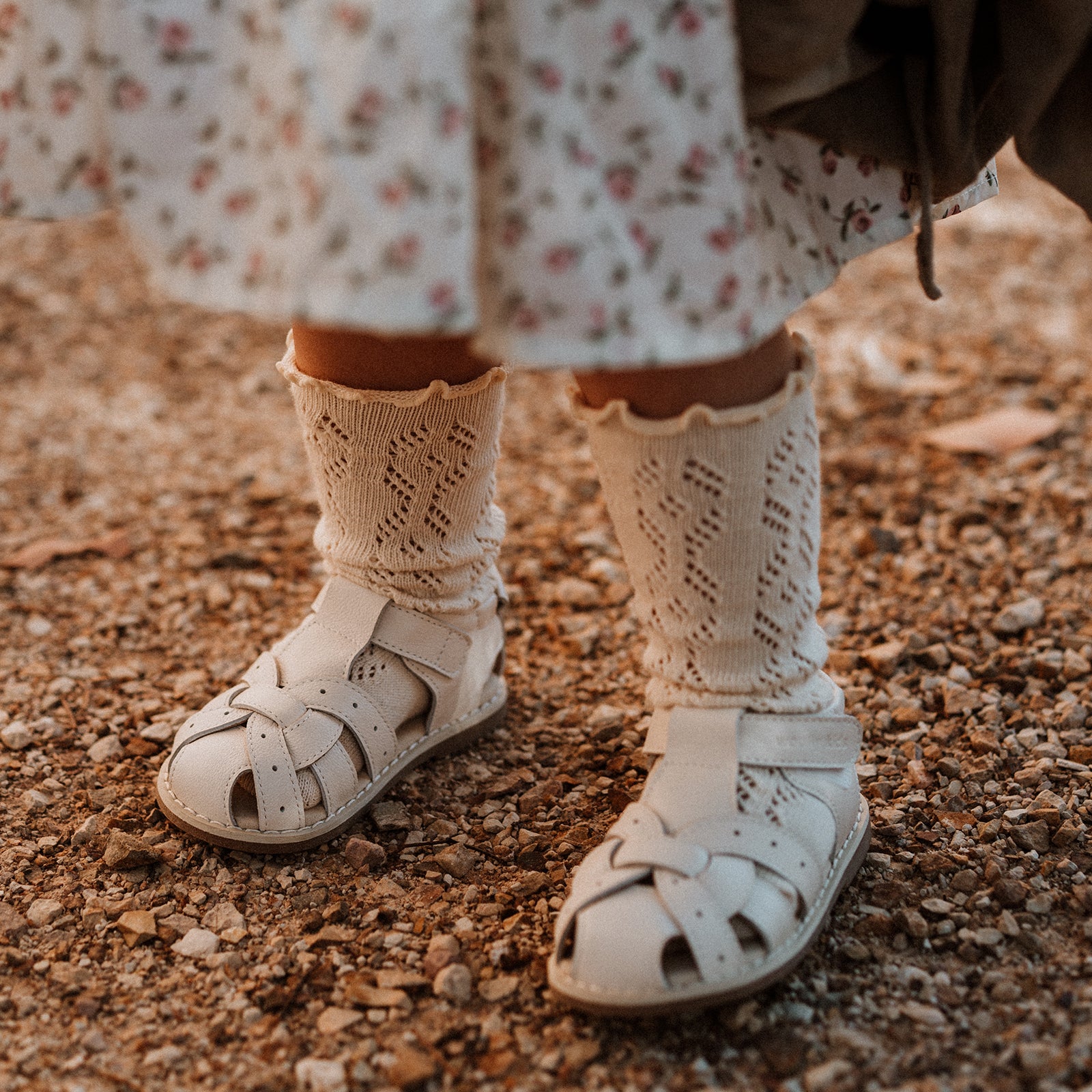 Clover - Ivory White