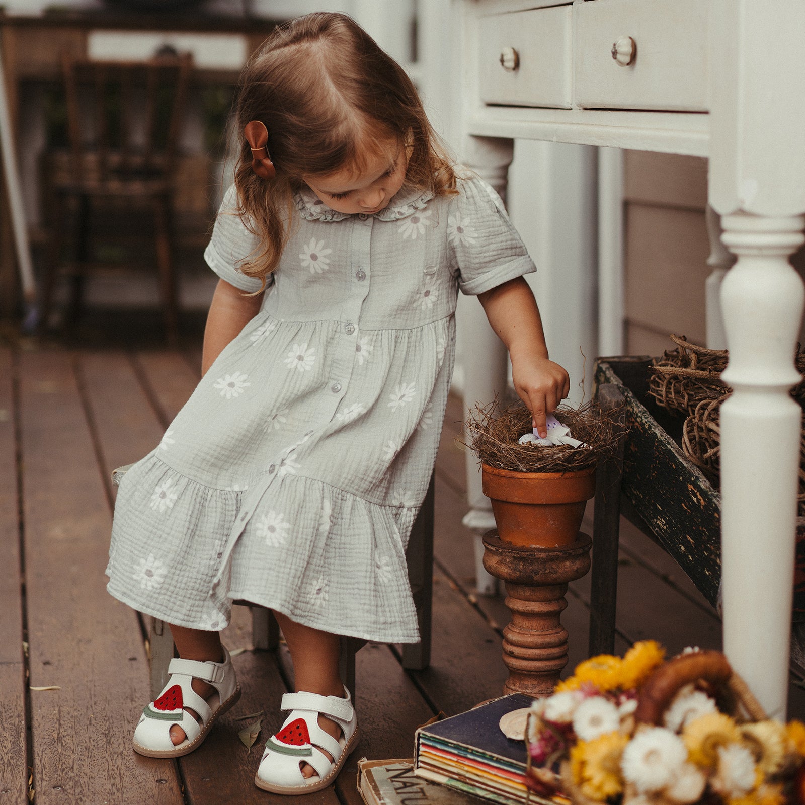 Fruit Party - Watermelon